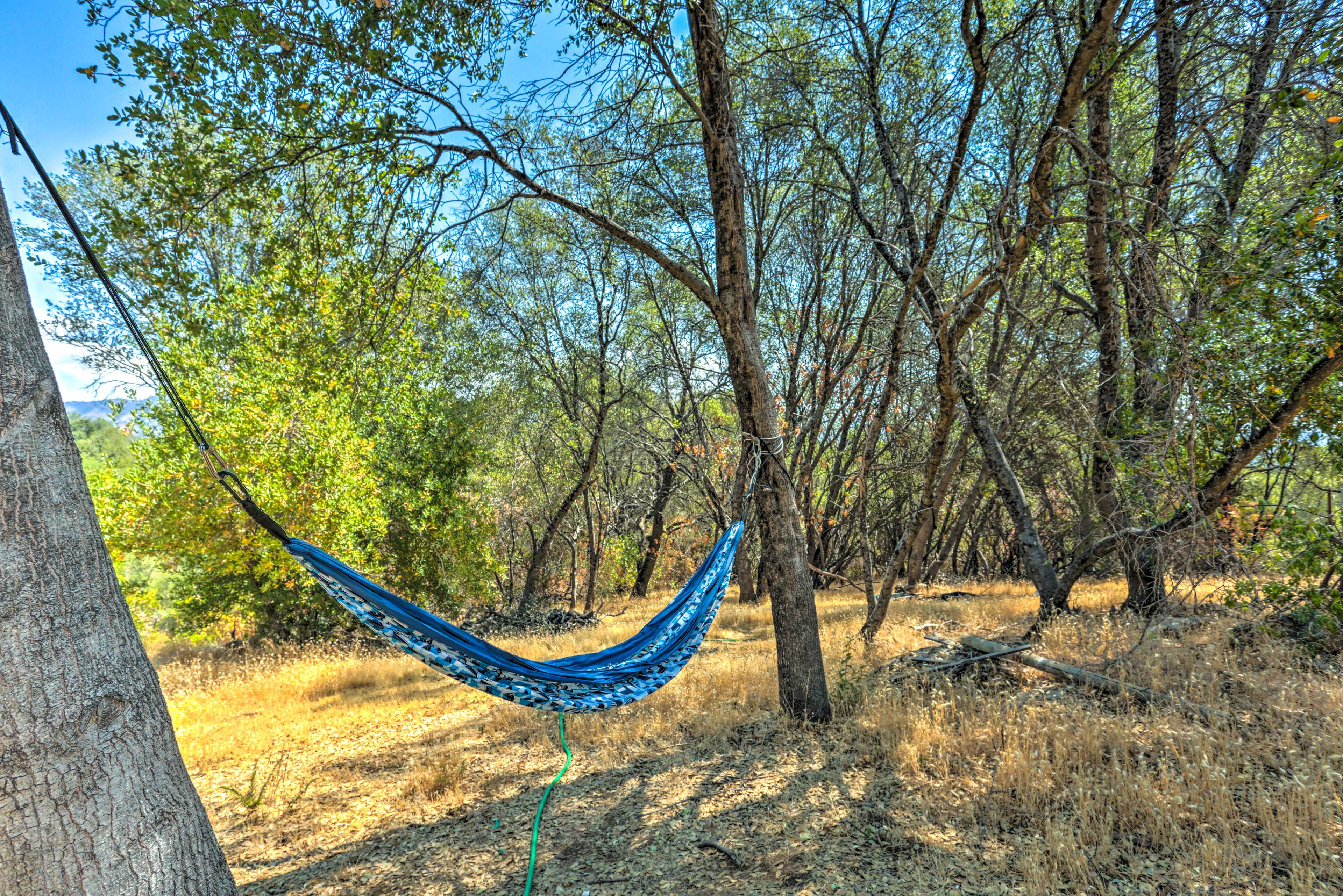 Backyard | Hammock