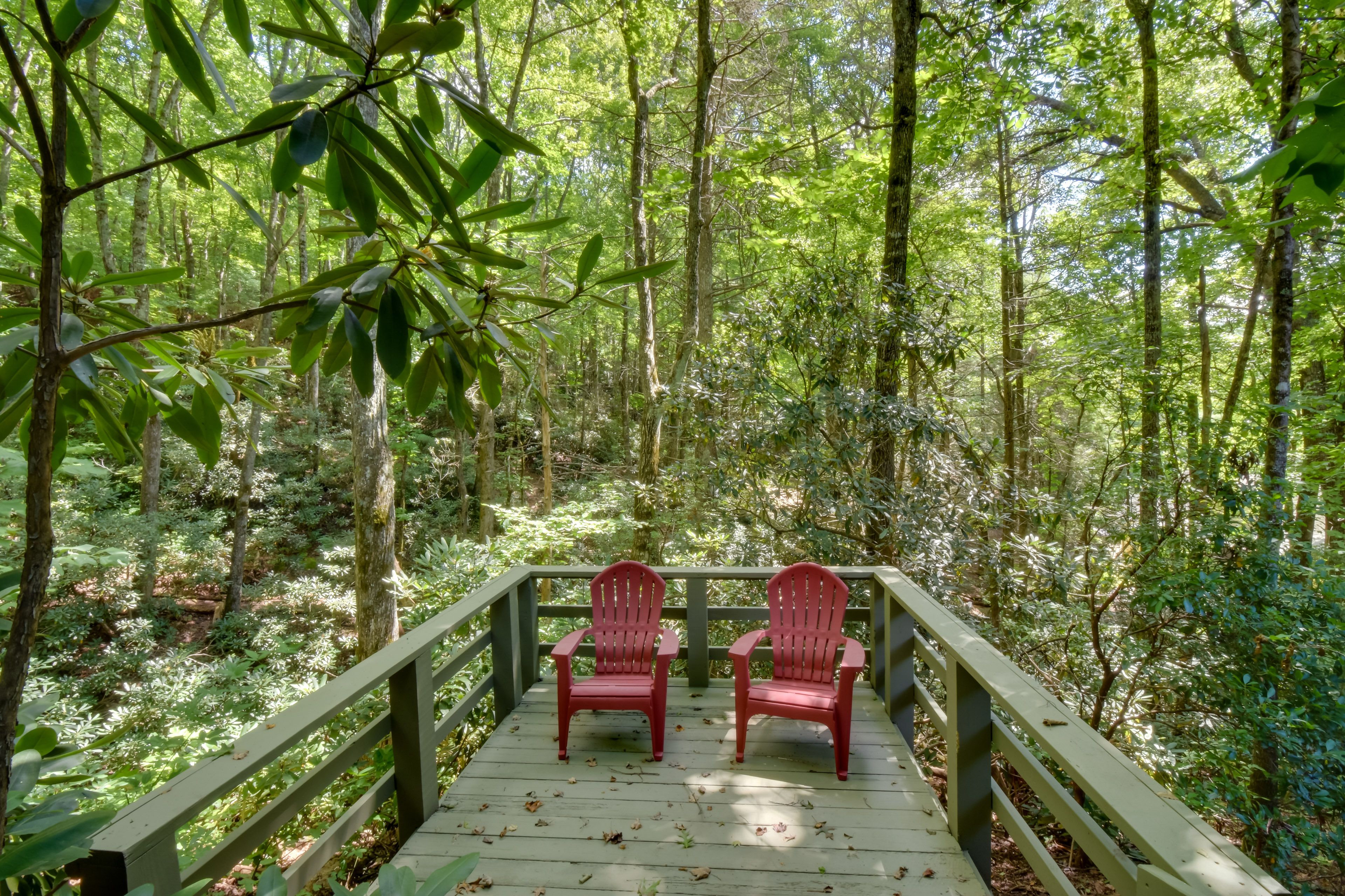 Viewing Deck | Creek Access