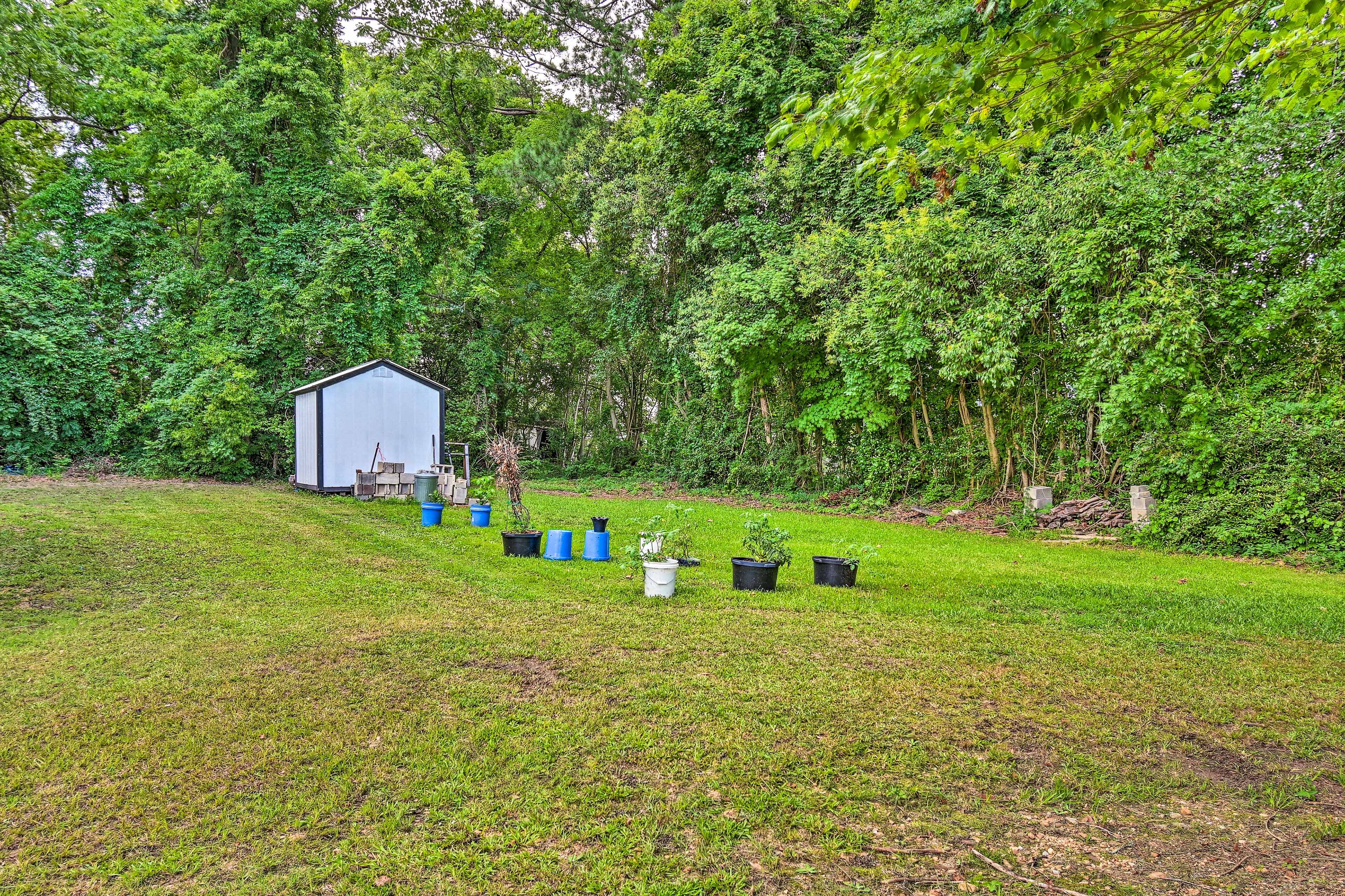 Shared Backyard