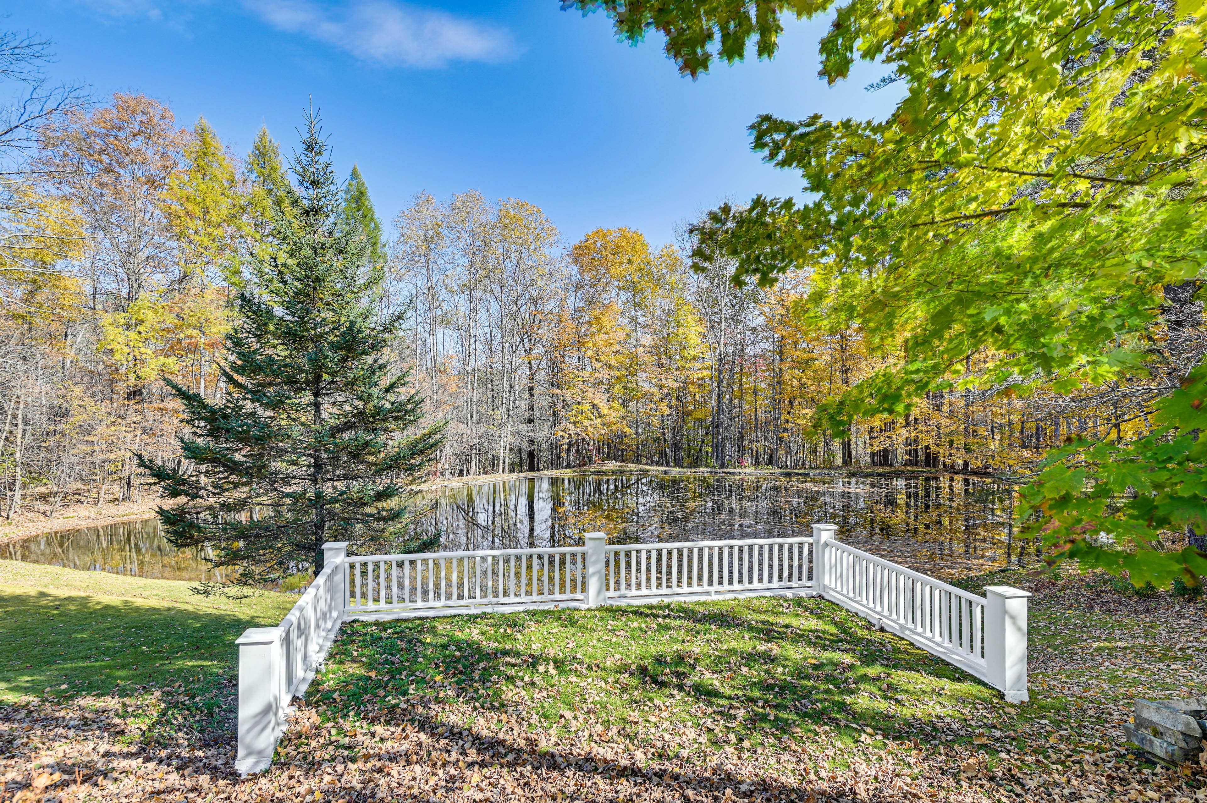 Swimming Pond
