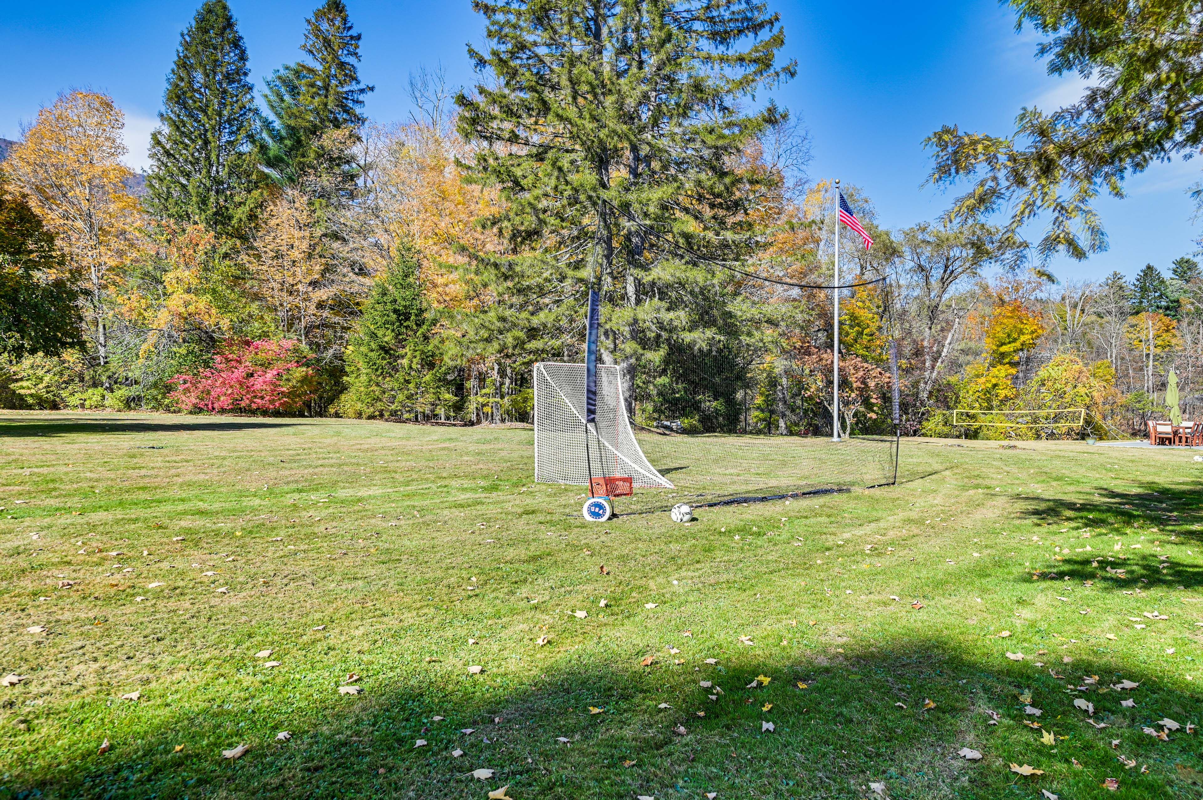 Shared Yard | Garden | Hammock