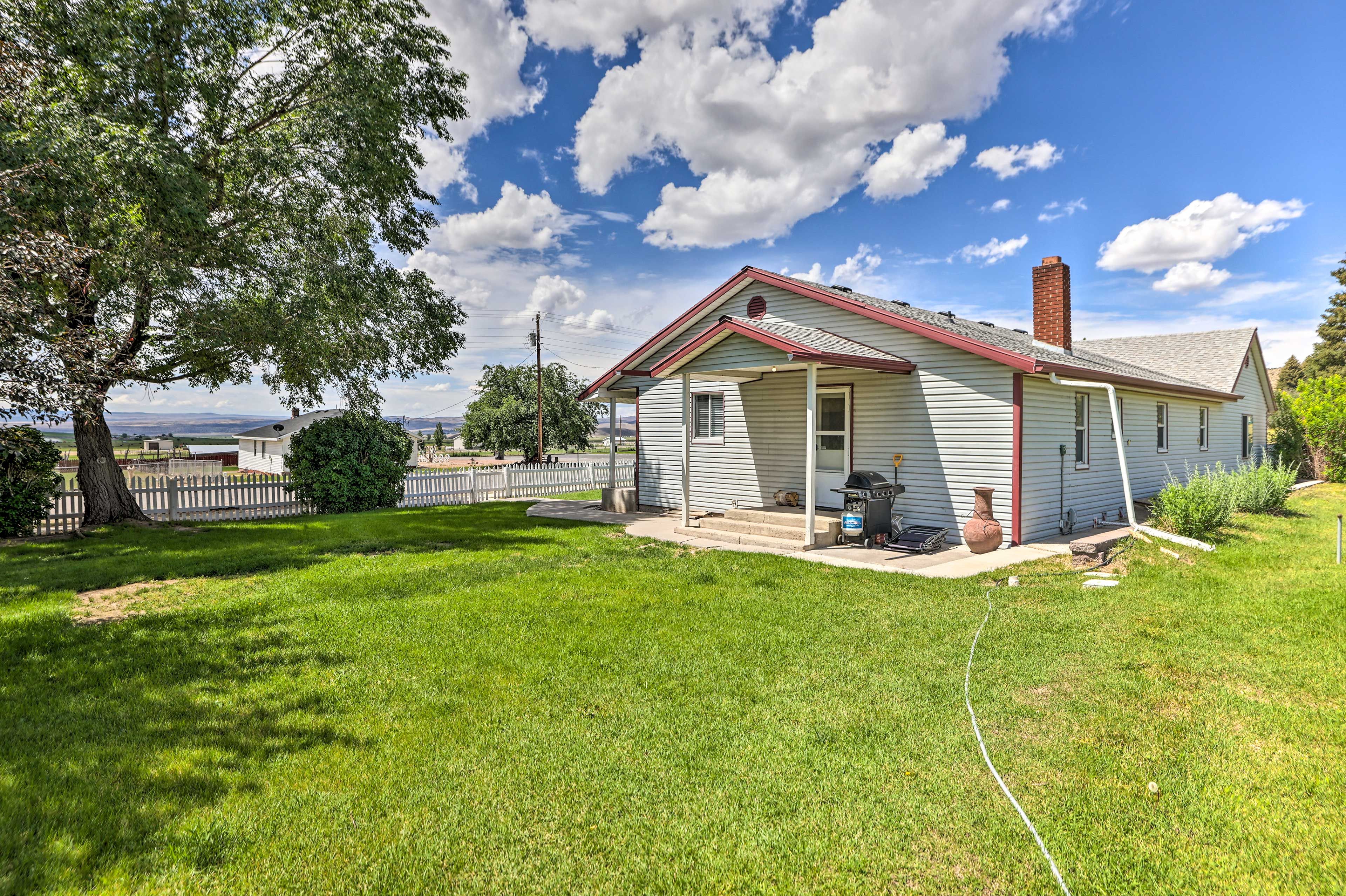 Spacious Yard