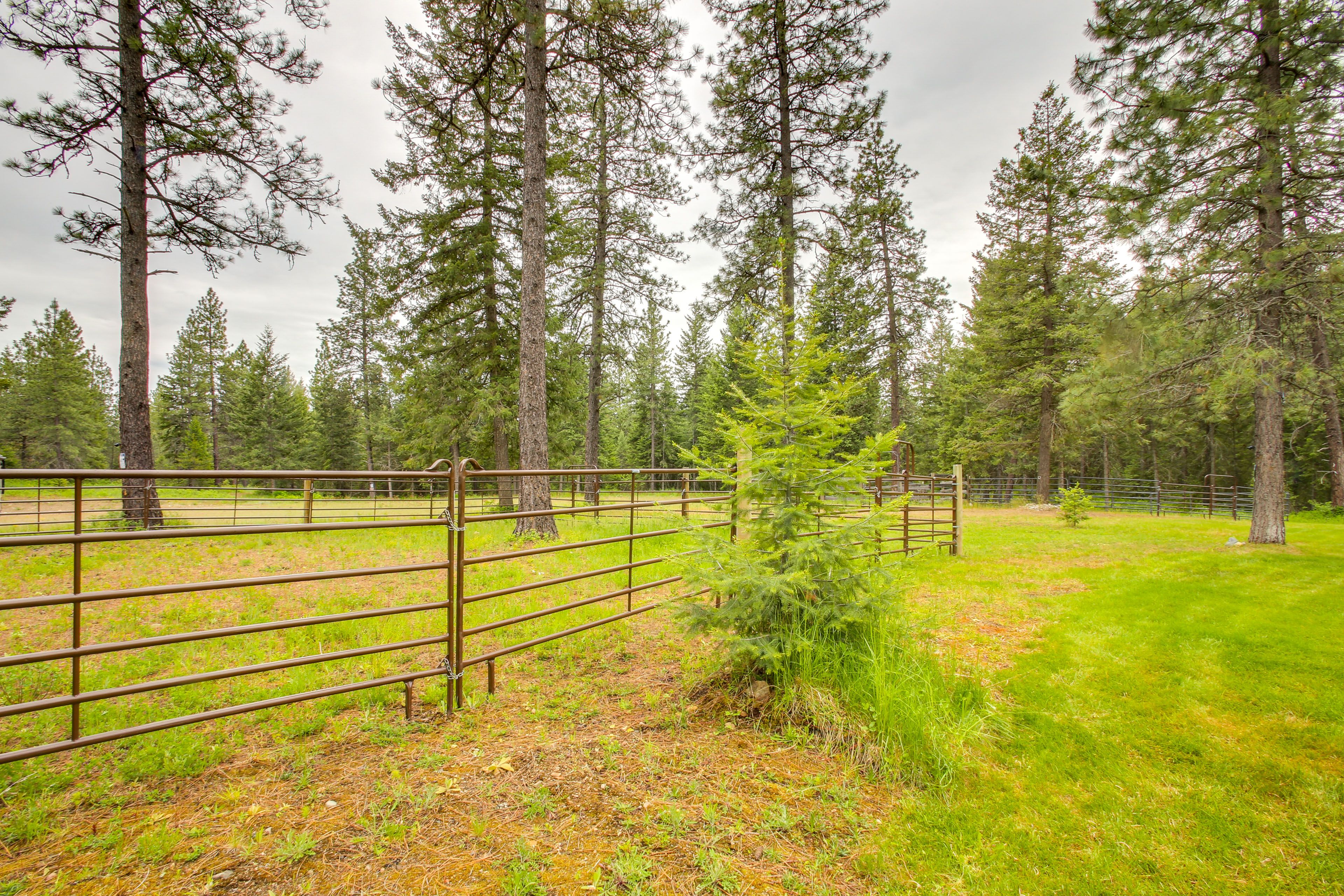Backyard | 6 Horse Corrals | Hitching Post