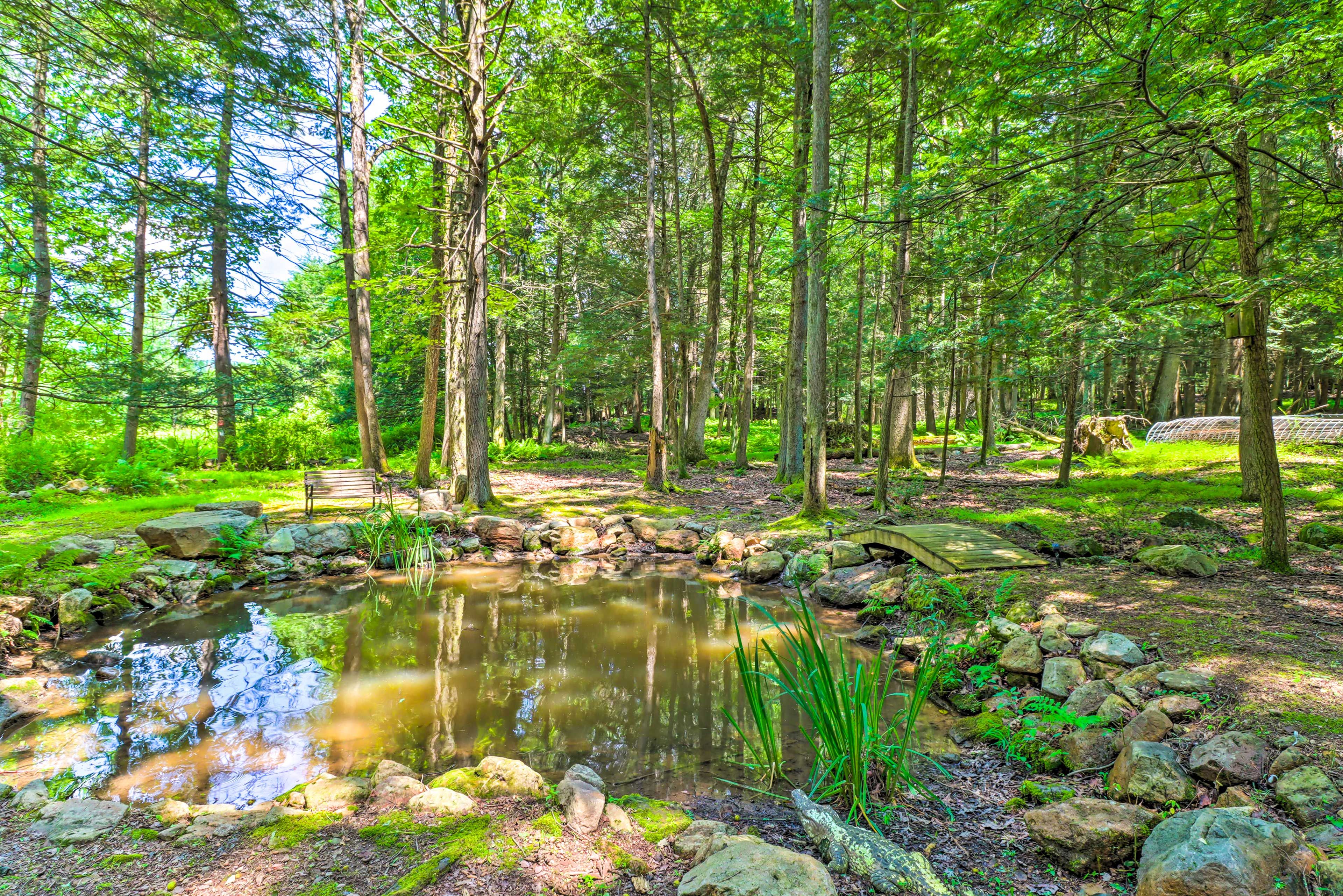 Pond