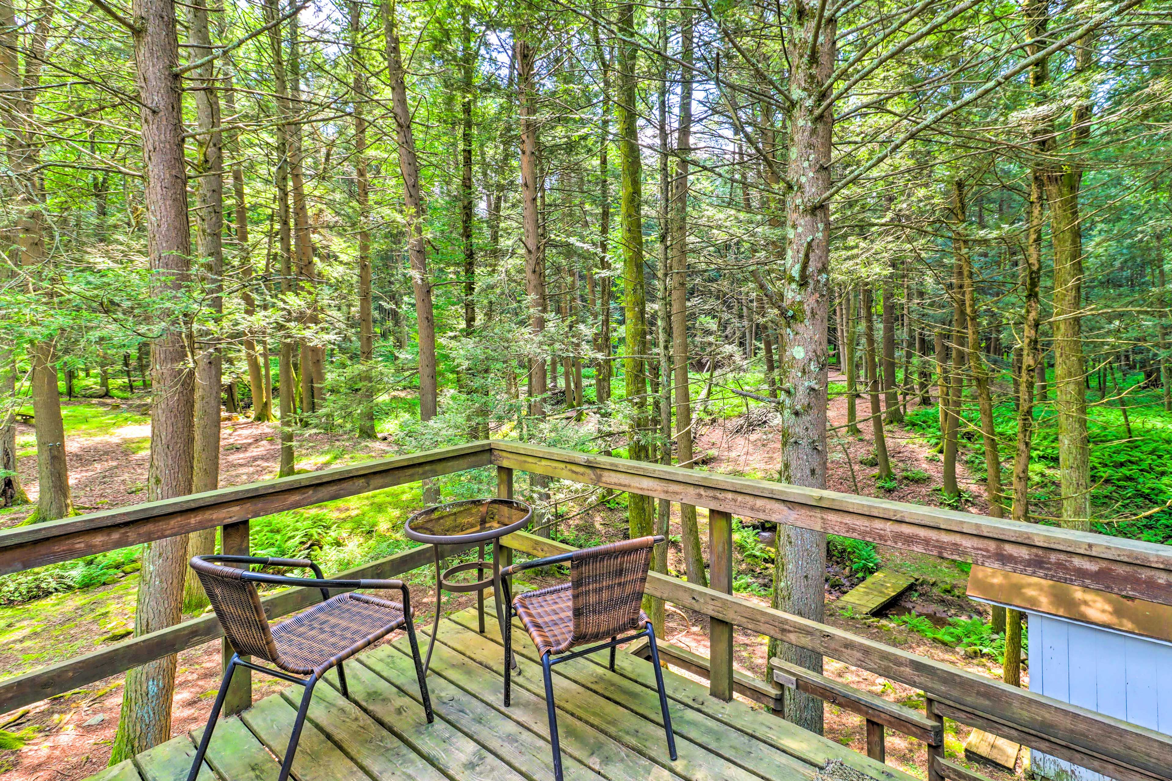 Top-Level Deck | Secluded Property