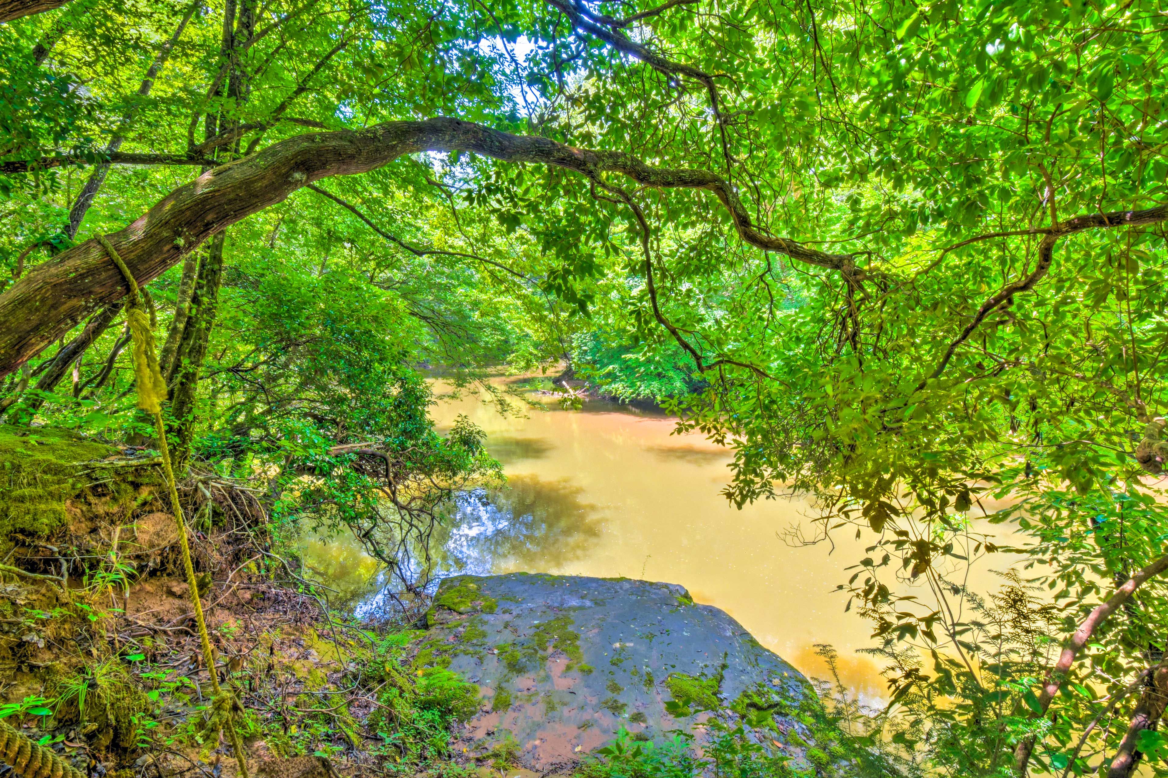 Private Chestatee River Access (600 Ft)