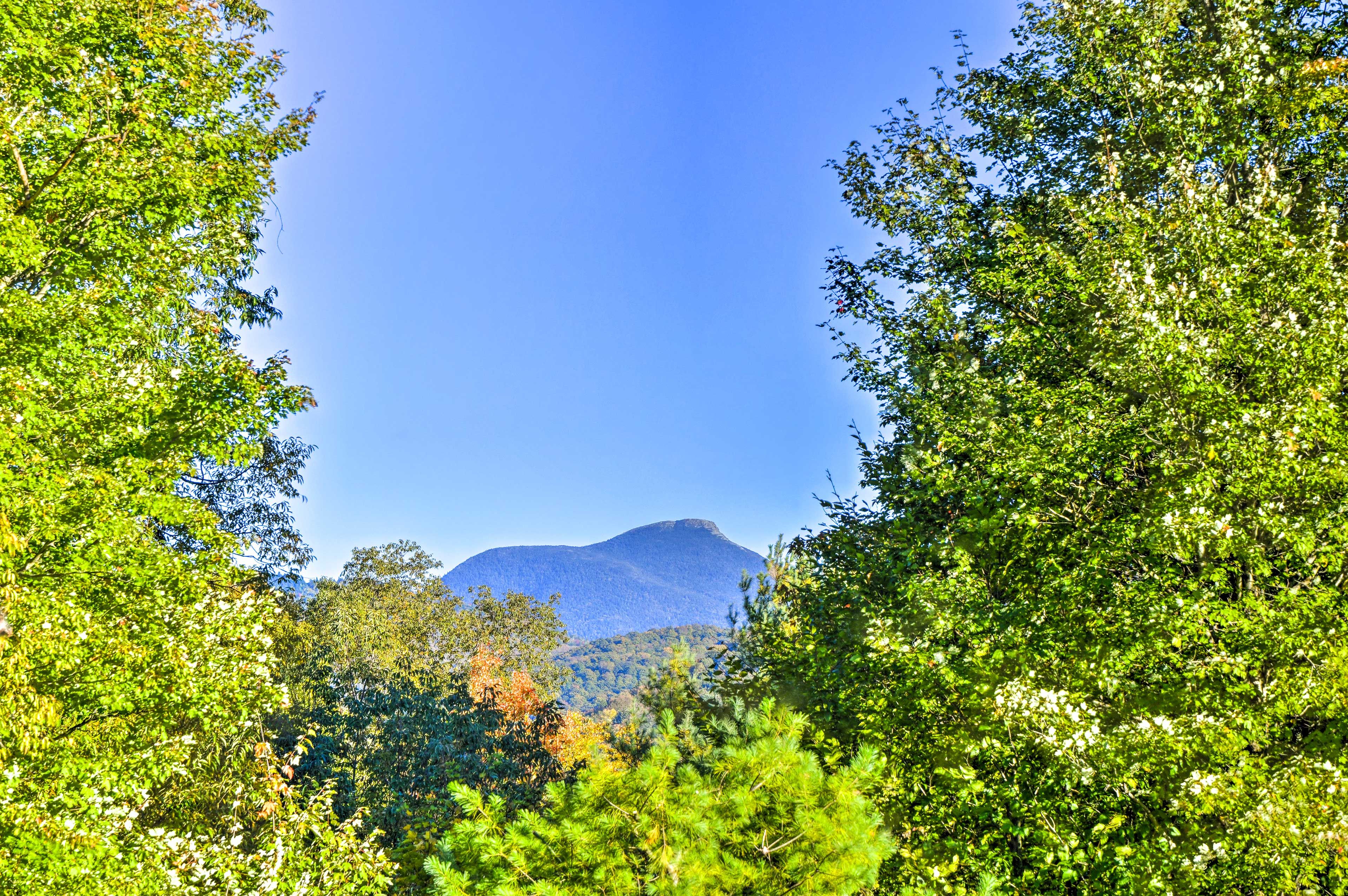 Scenic Mountain Views | Single-Story Apartment
