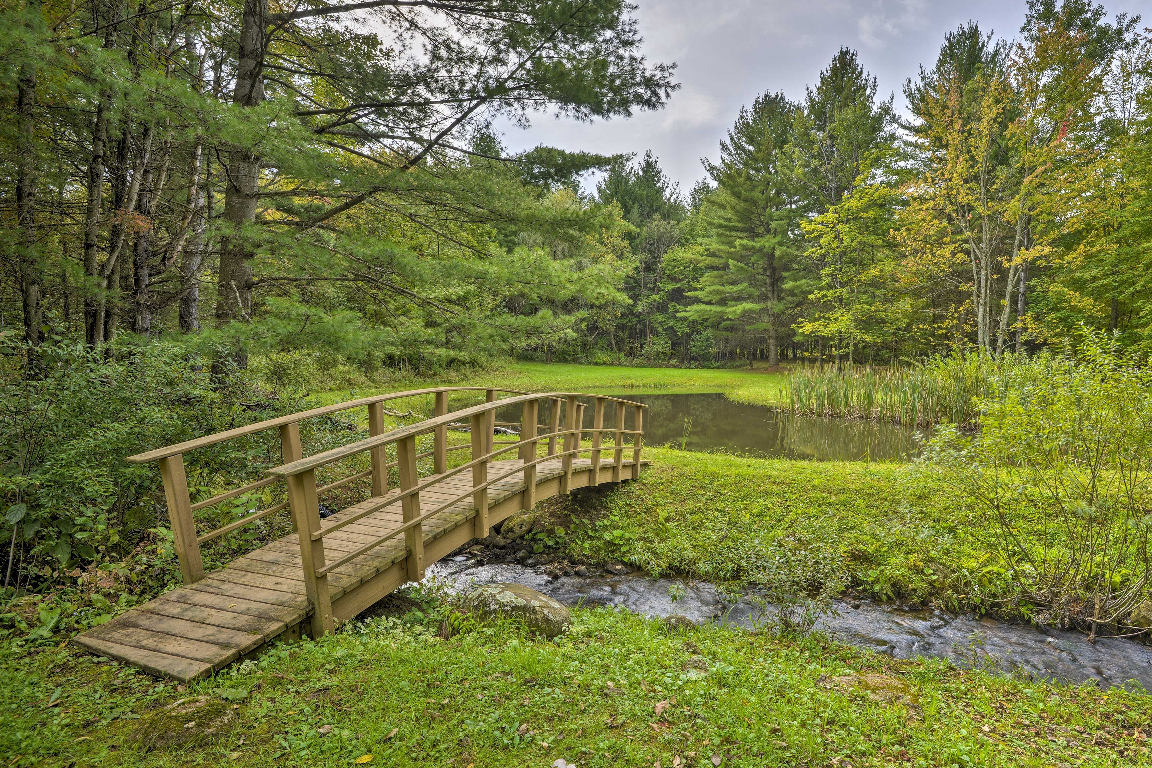Creekfront