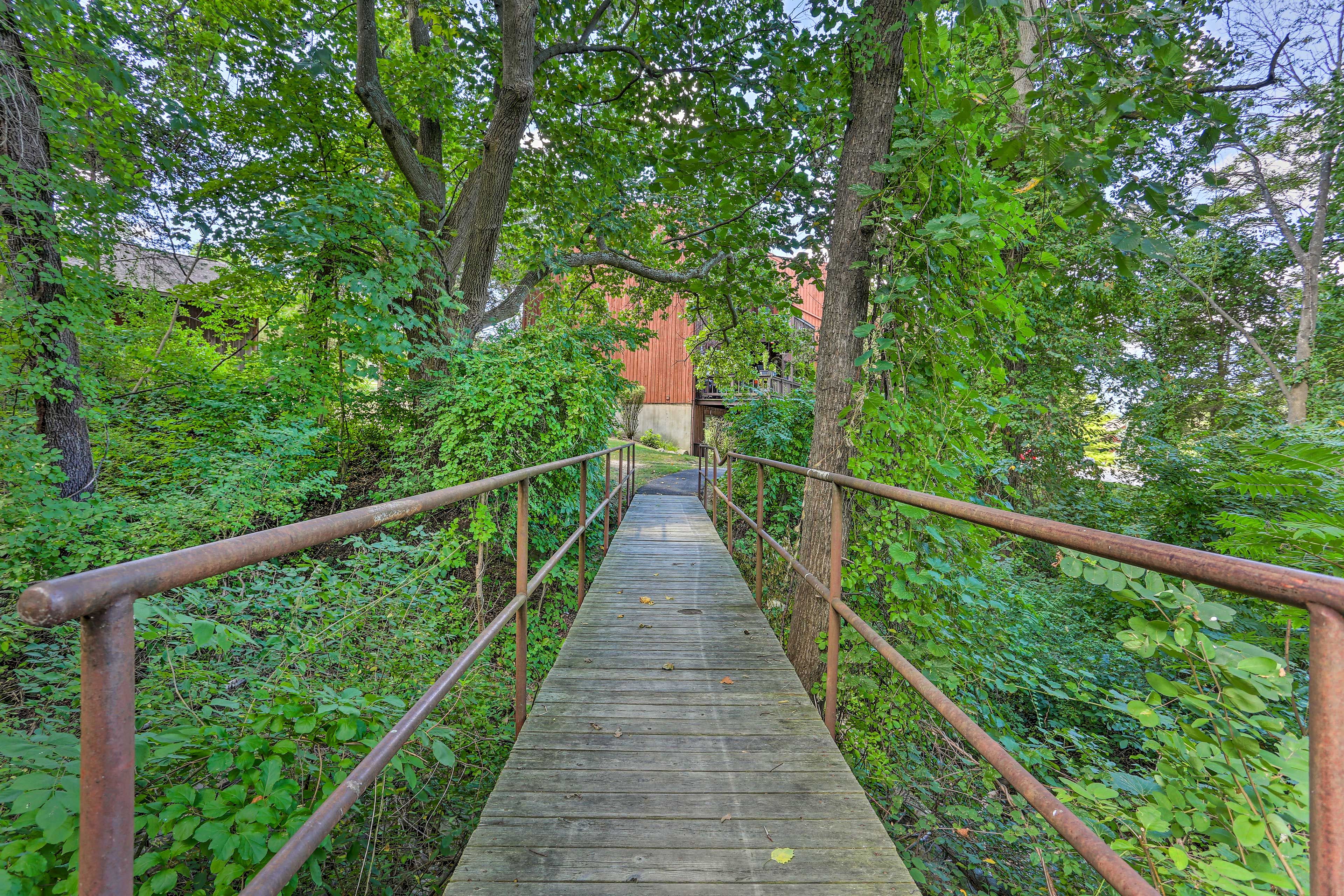 Image 34