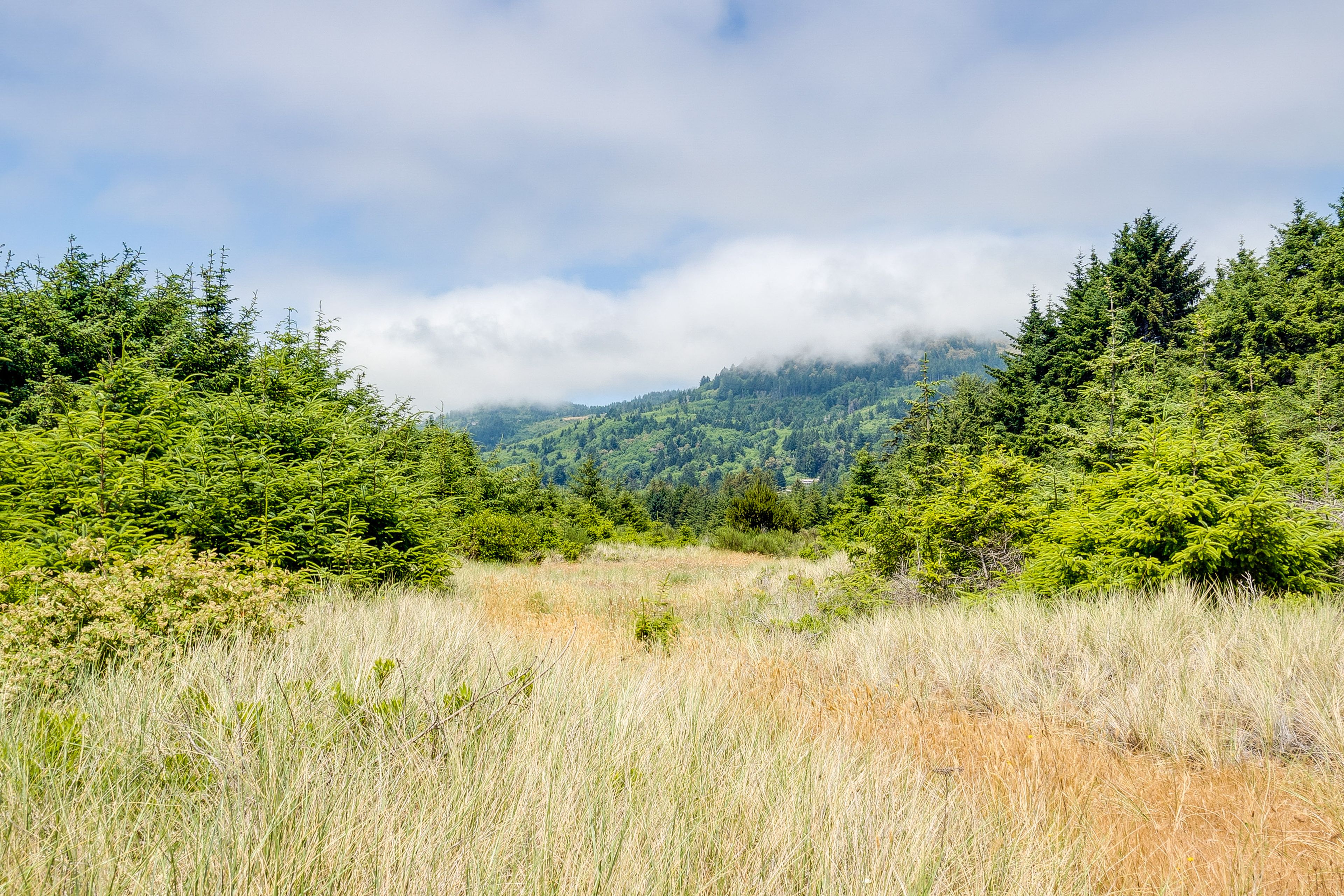 Hiking Trails On-Site