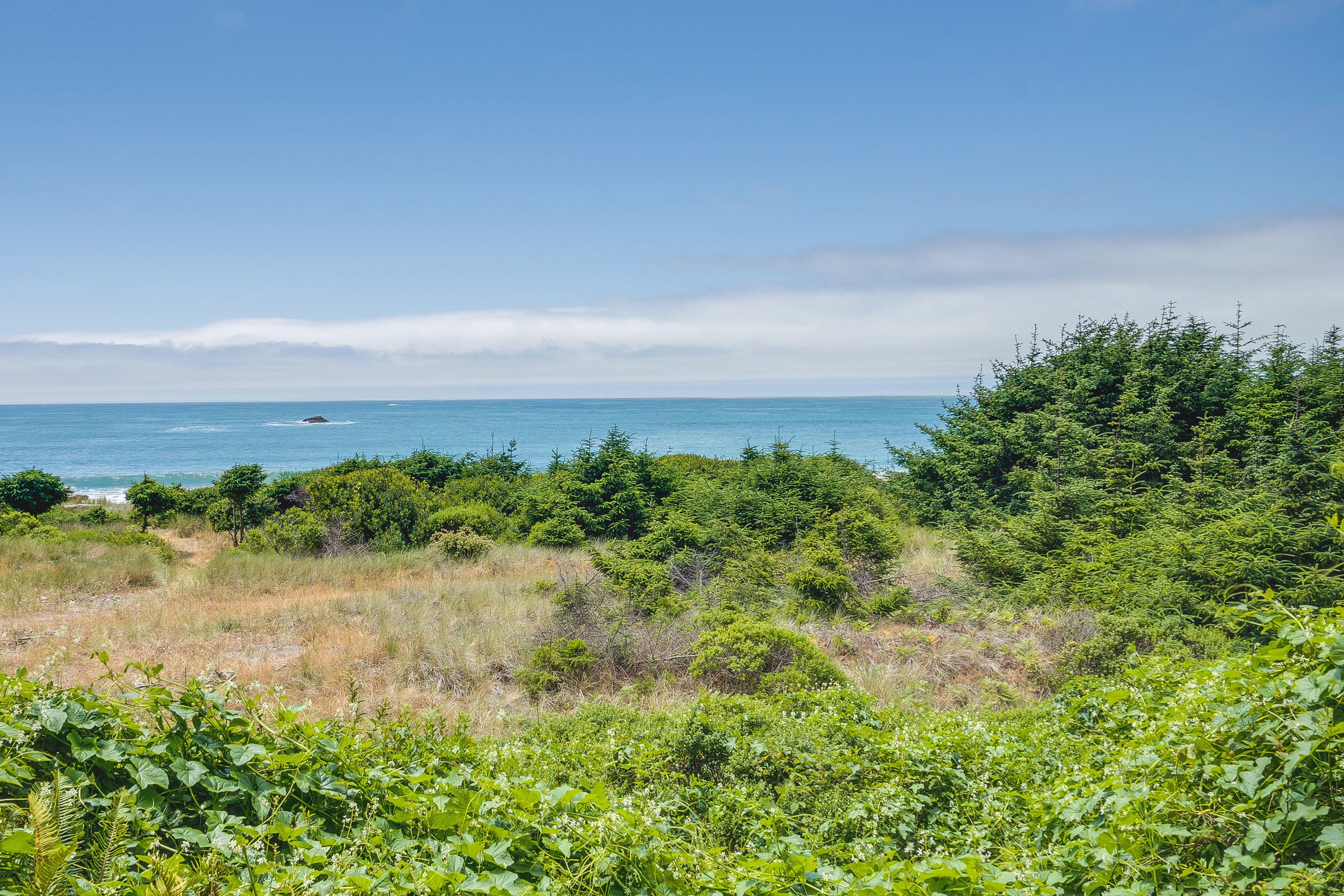 Ocean Views