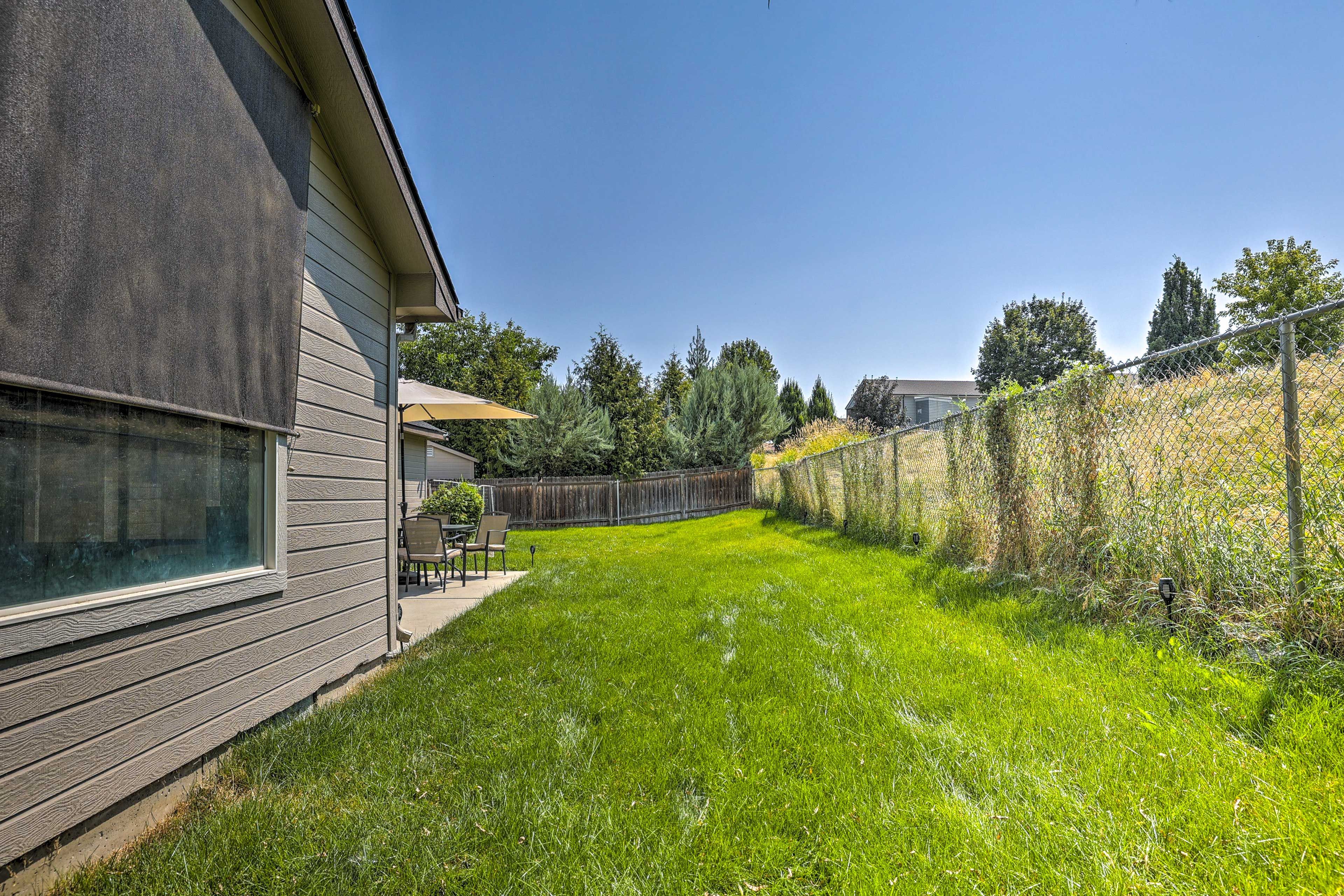 Backyard