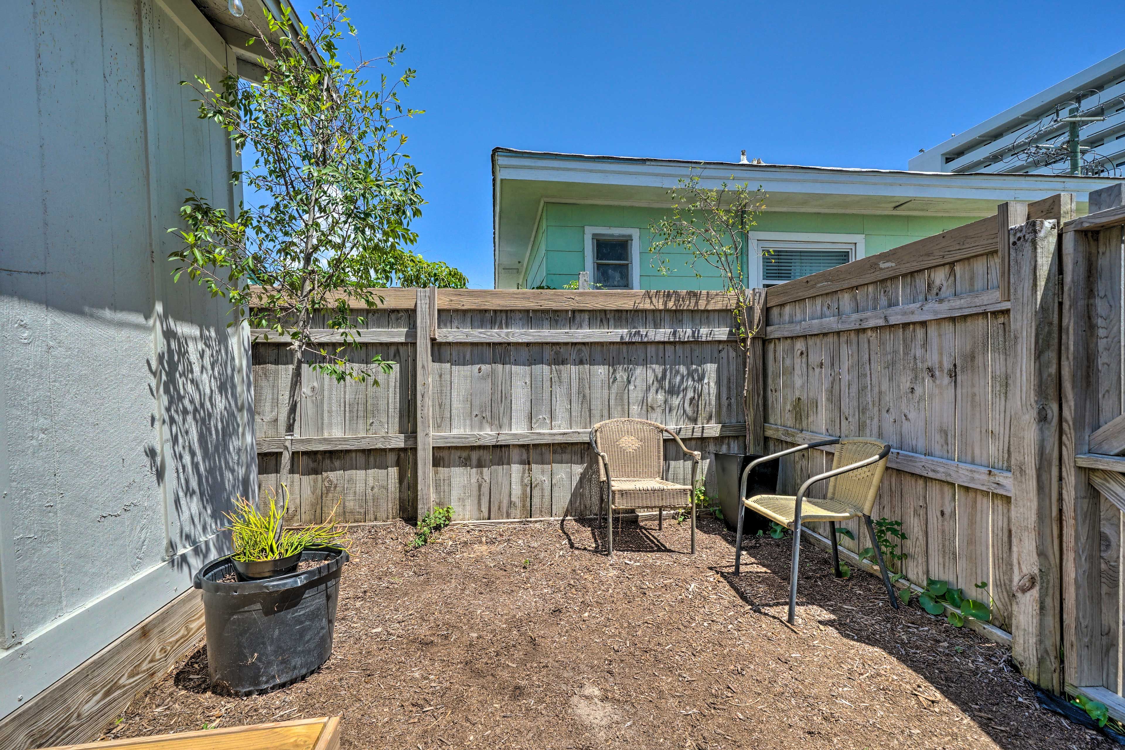 Backyard
