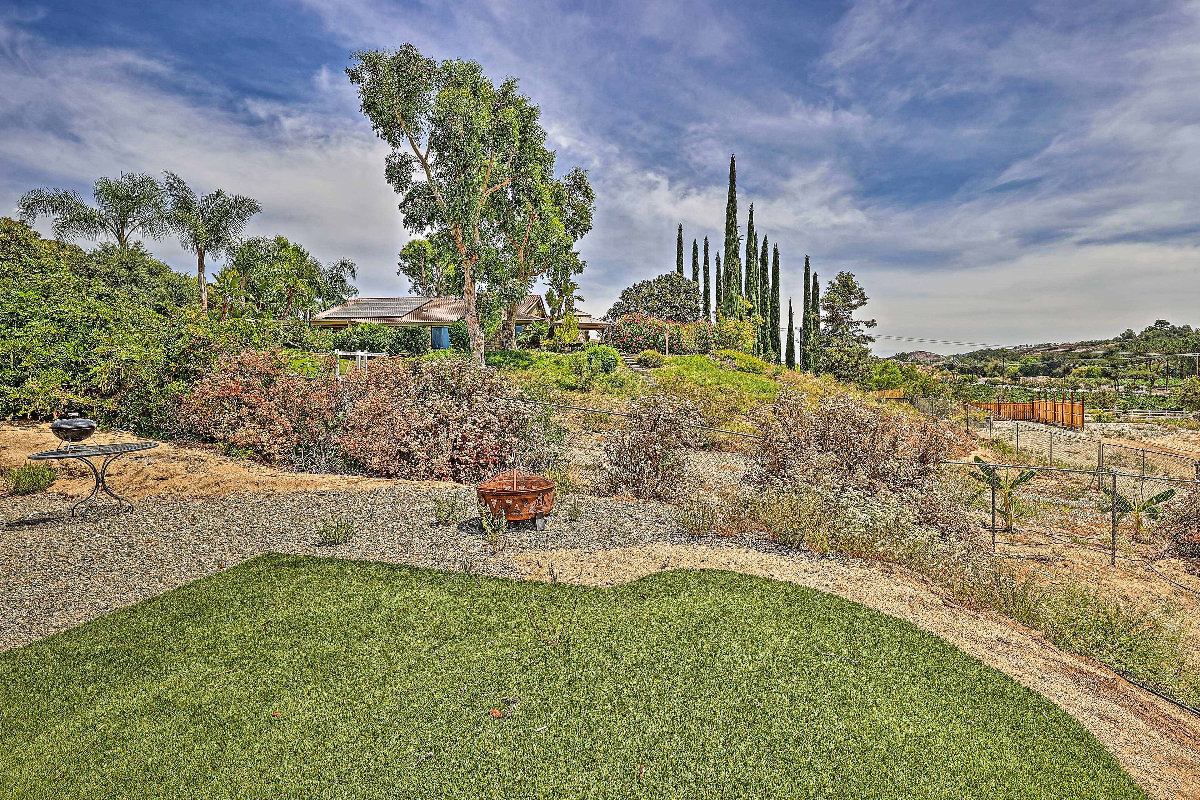 Surrounding Landscape