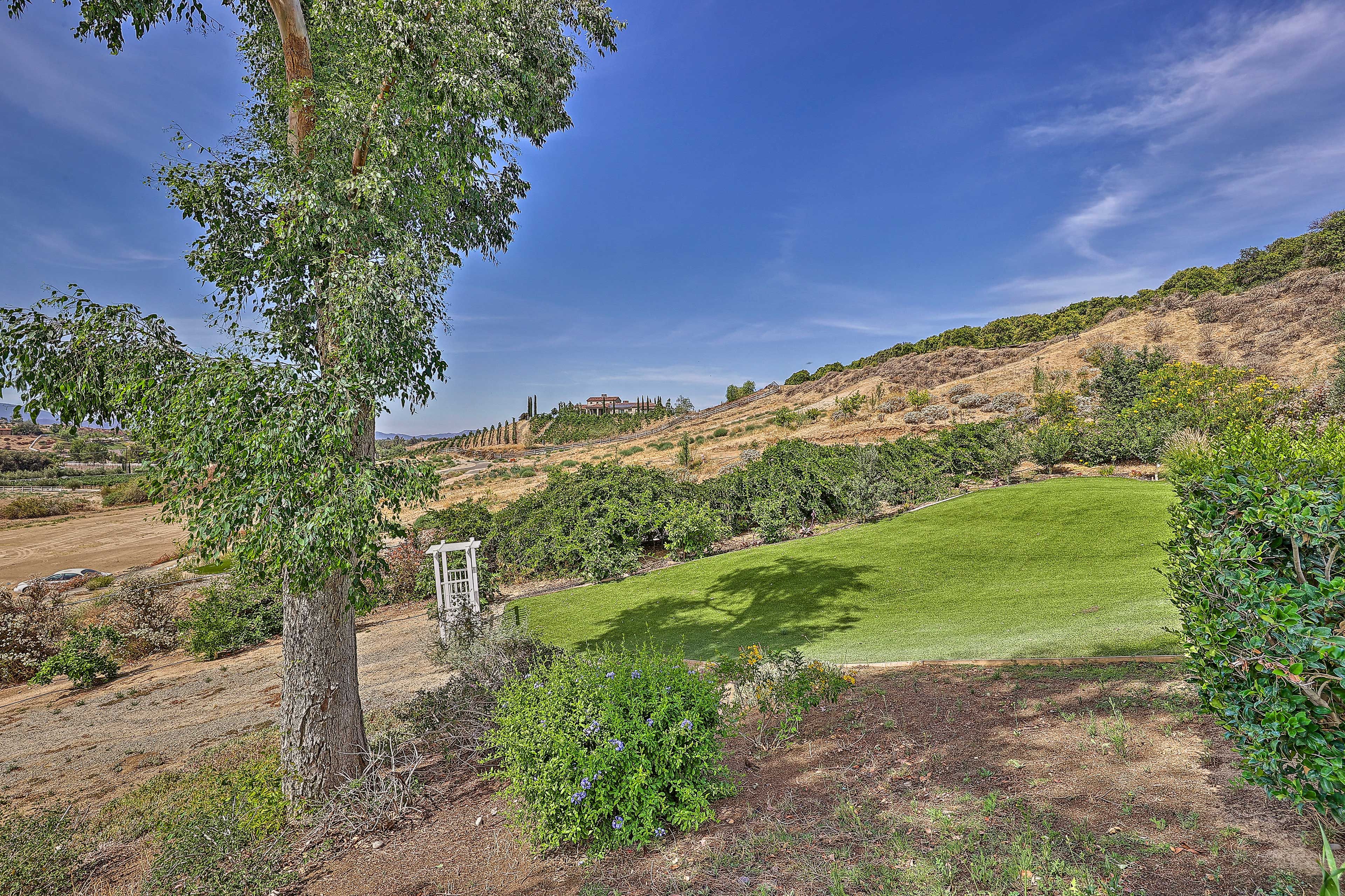 Surrounding Landscape