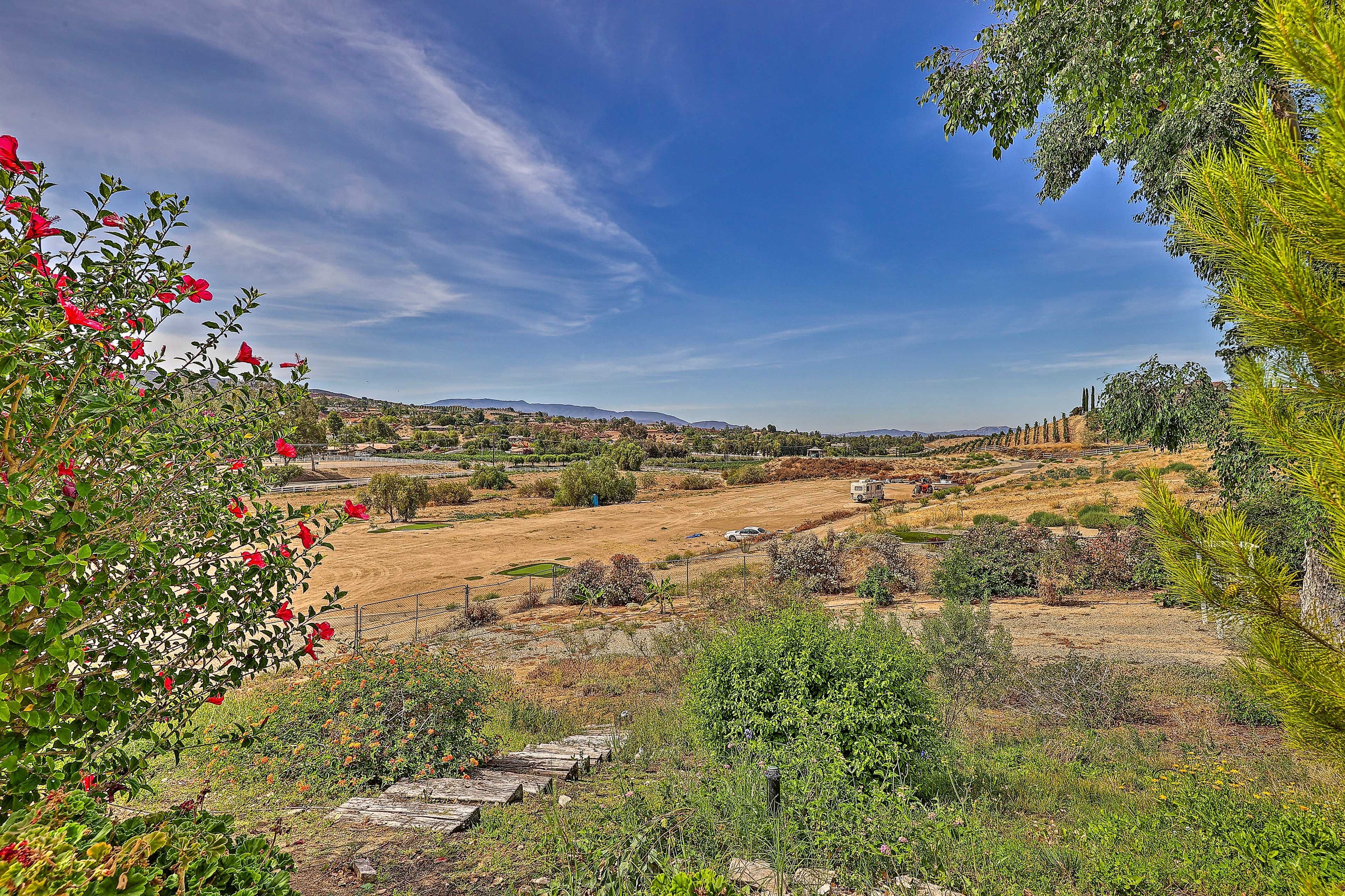 Surrounding Landscape