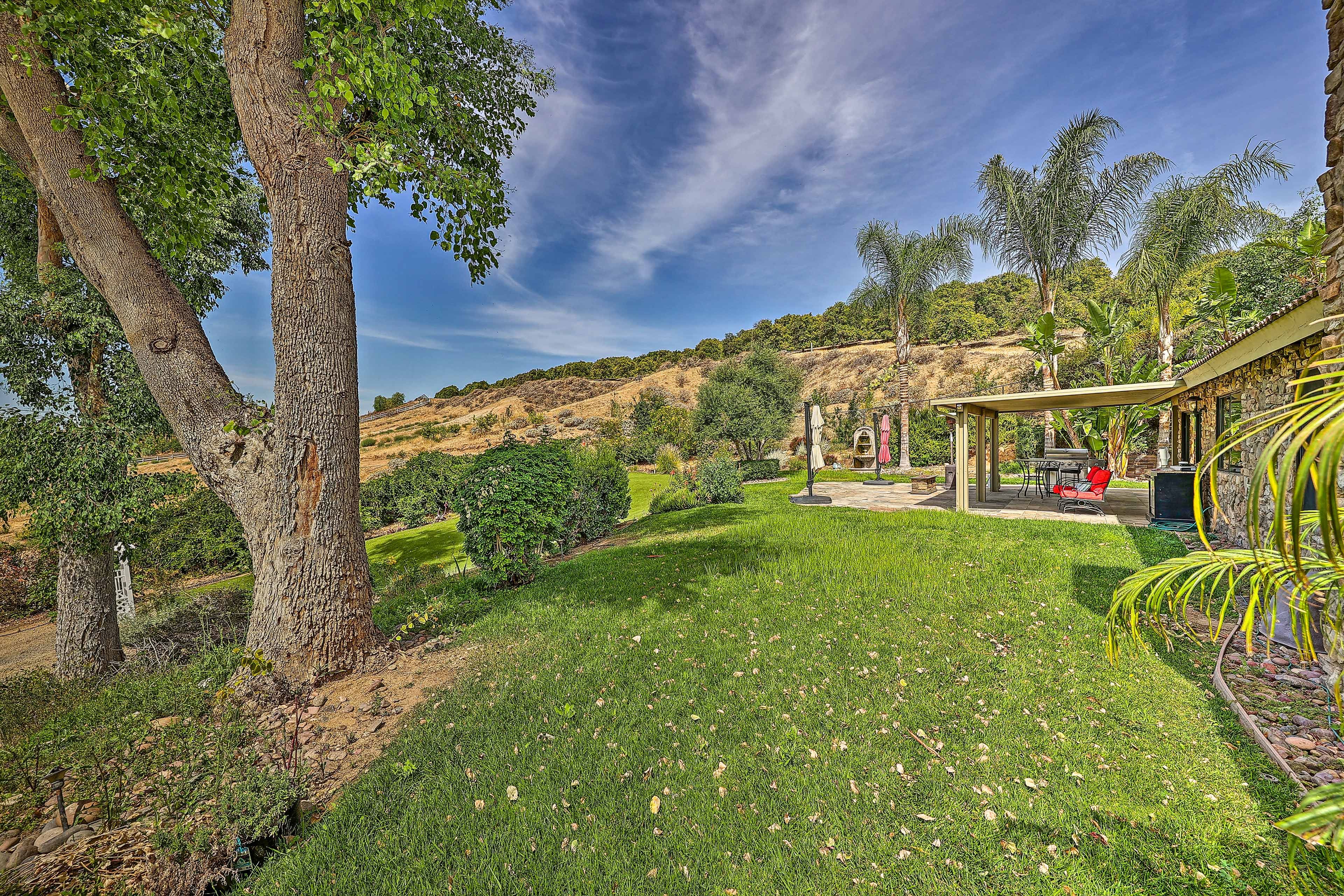 Side Yard | Gas Grill