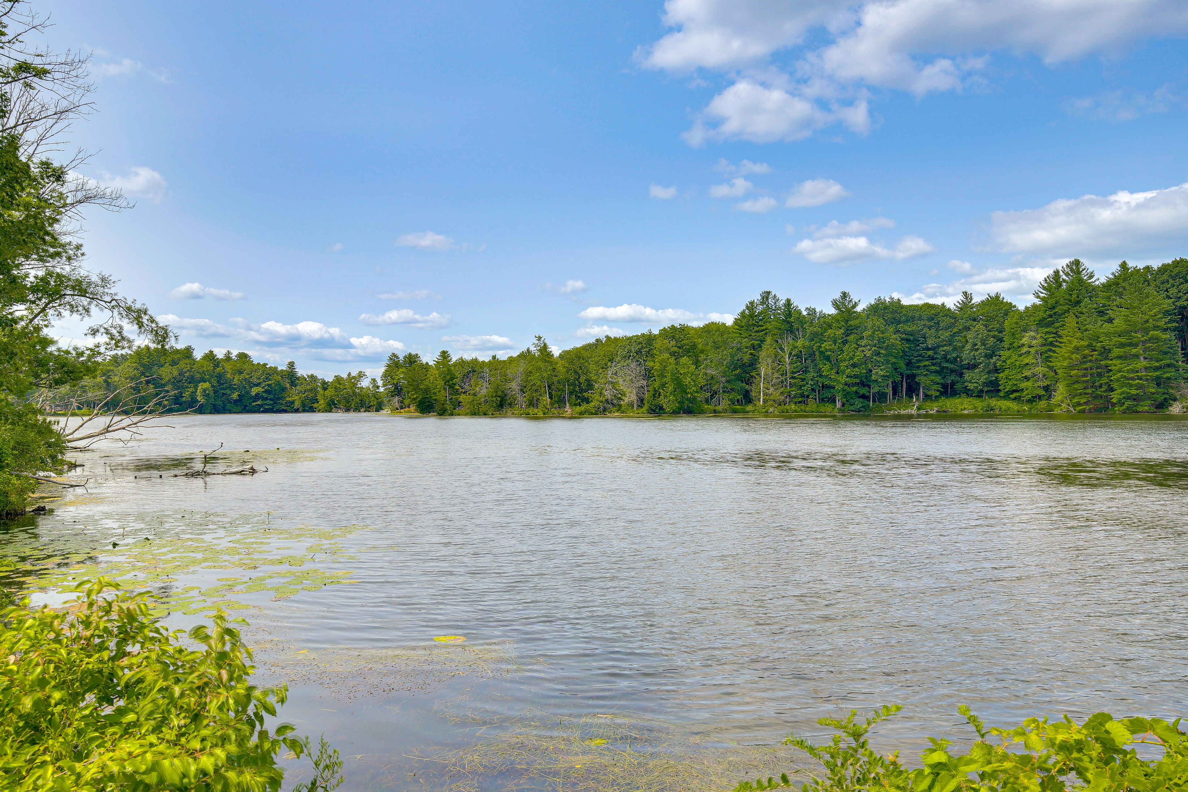 Mill Pond