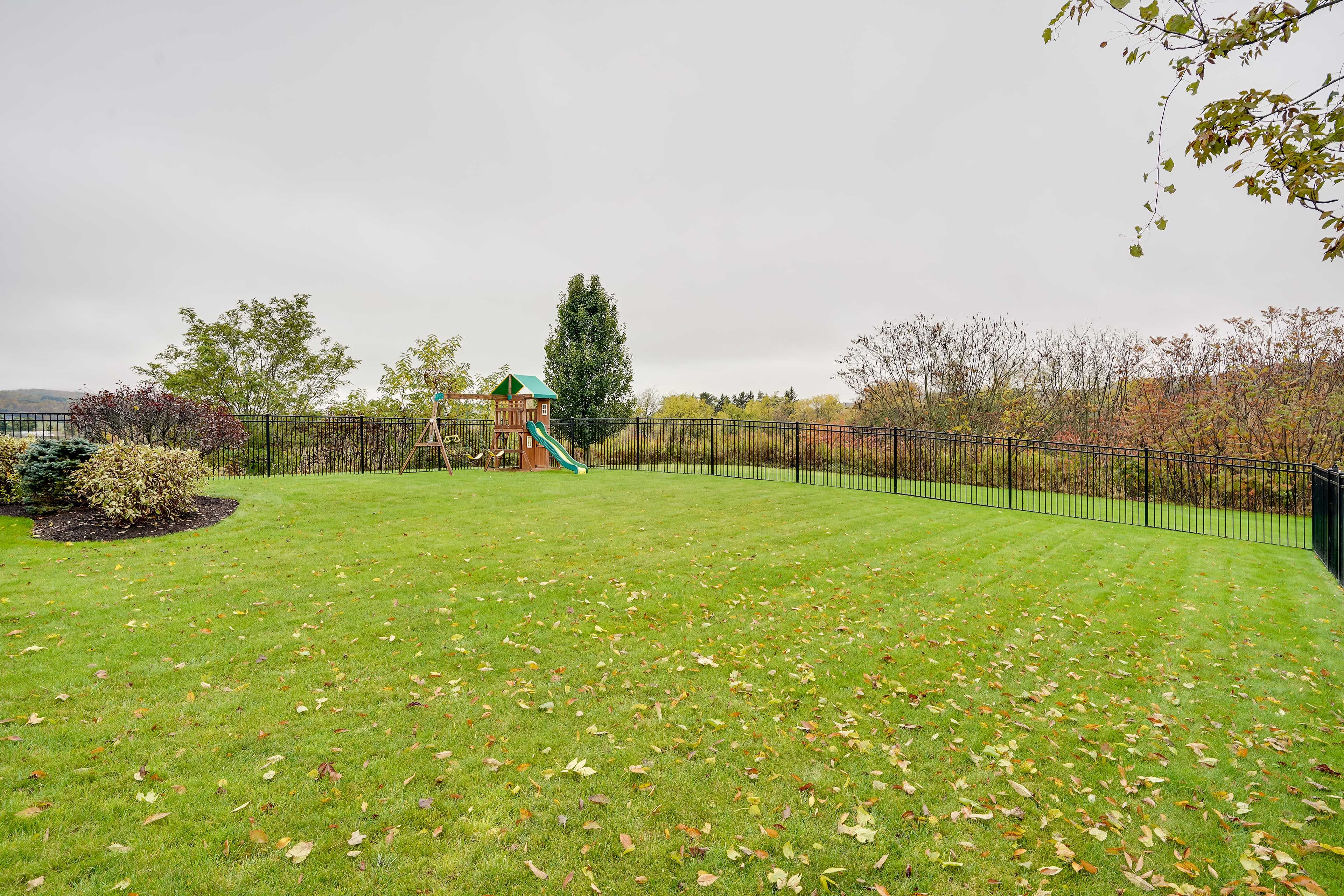 Image 37