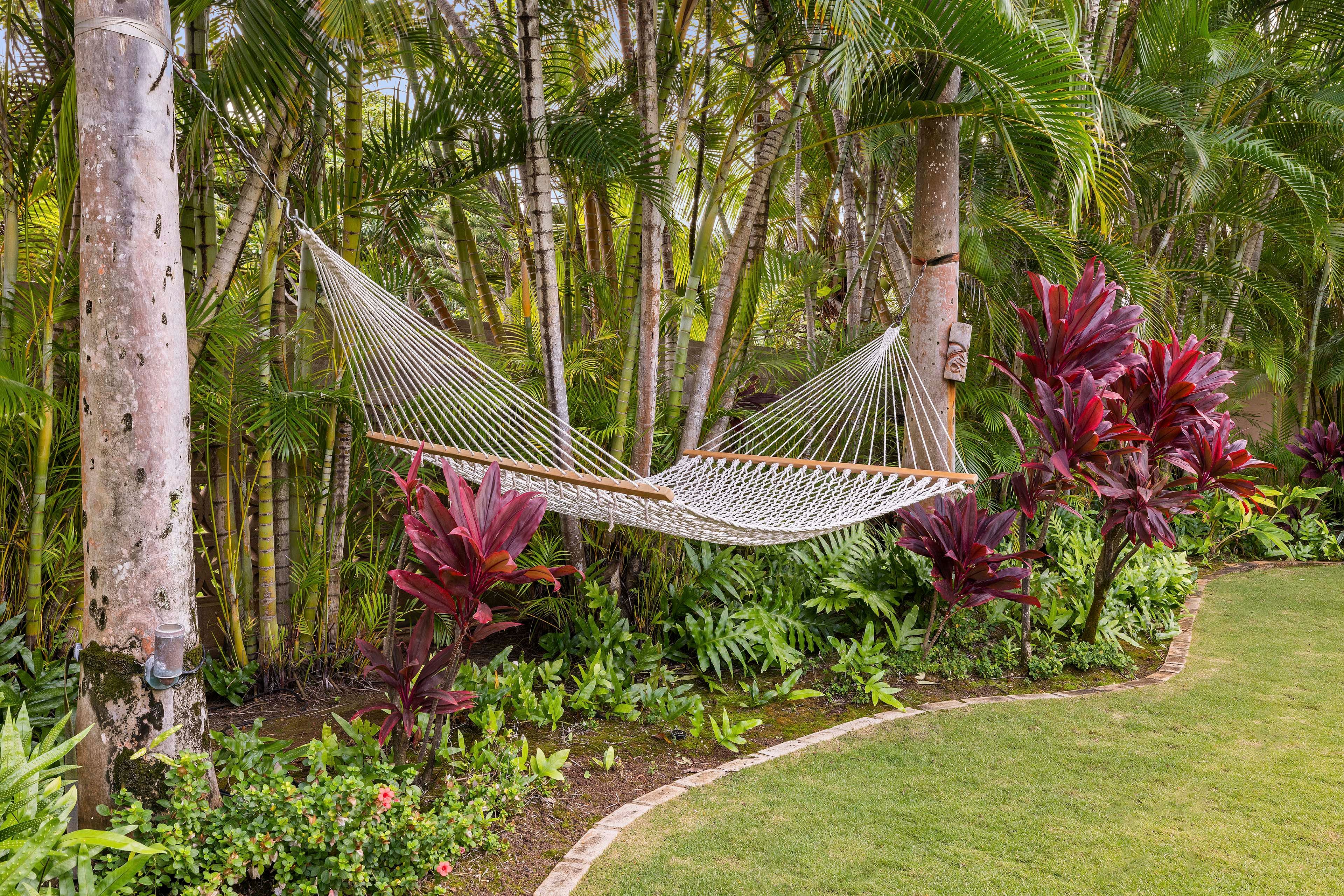 Backyard | Hammock