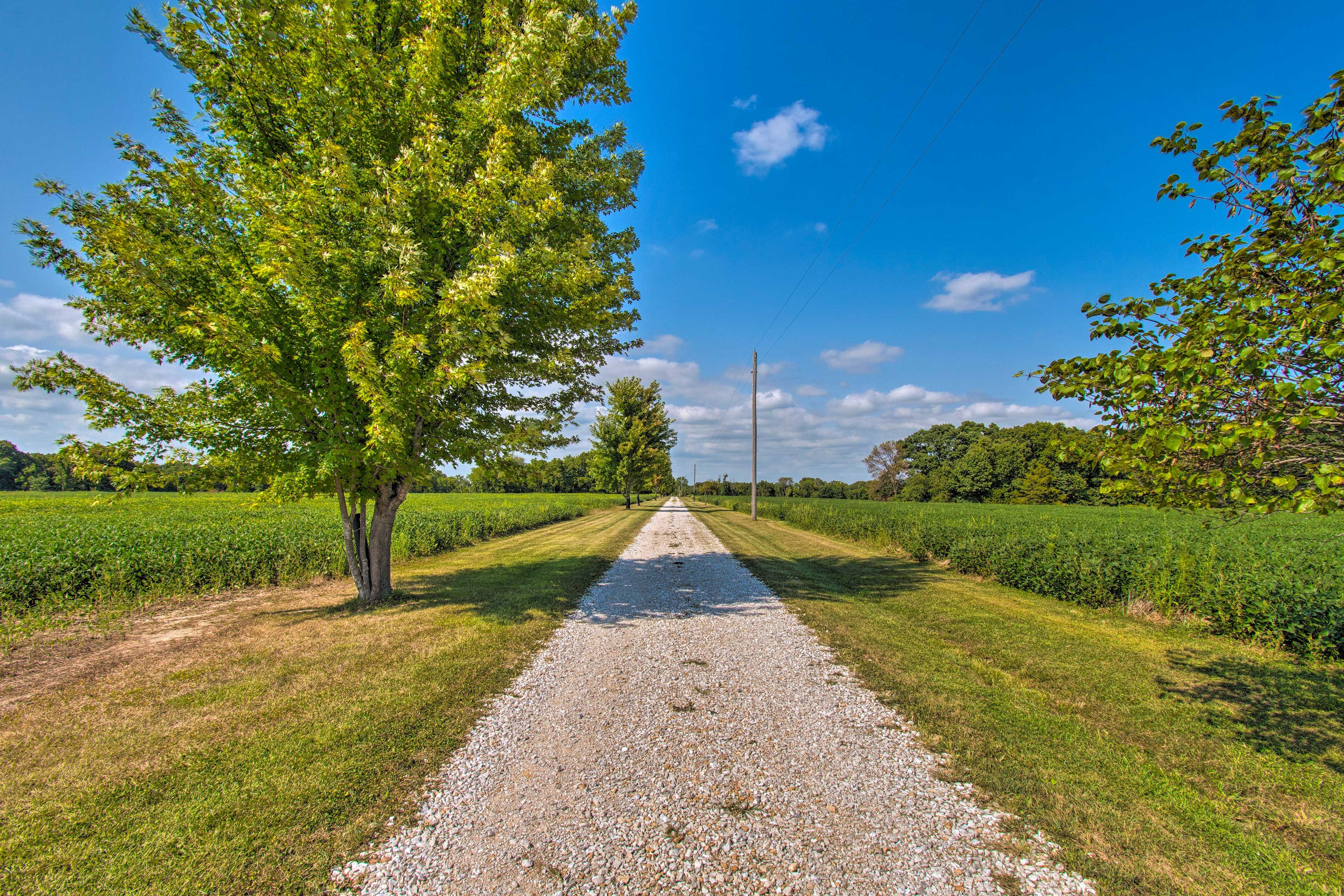 Road To Property