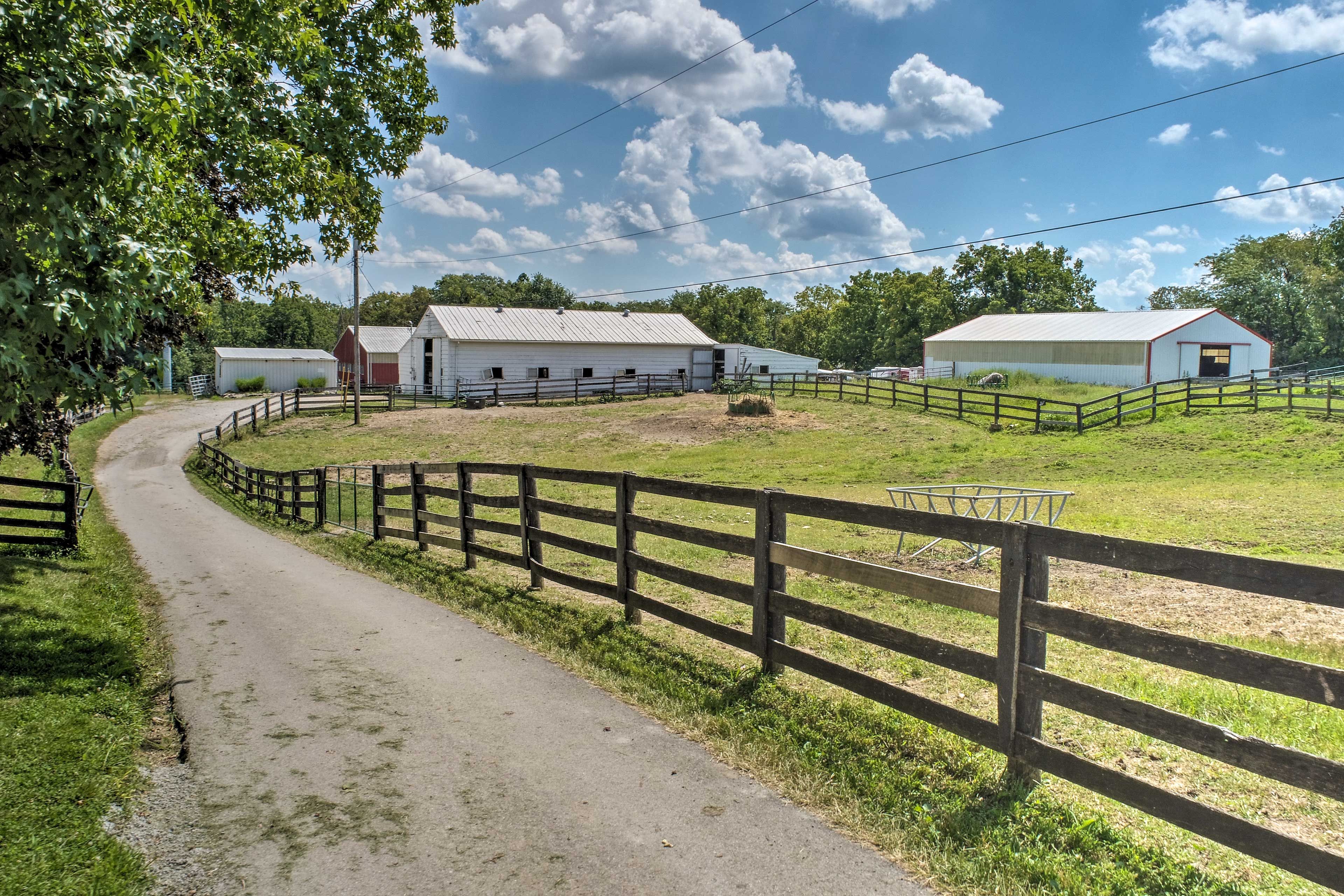 Road to Horse Stalls