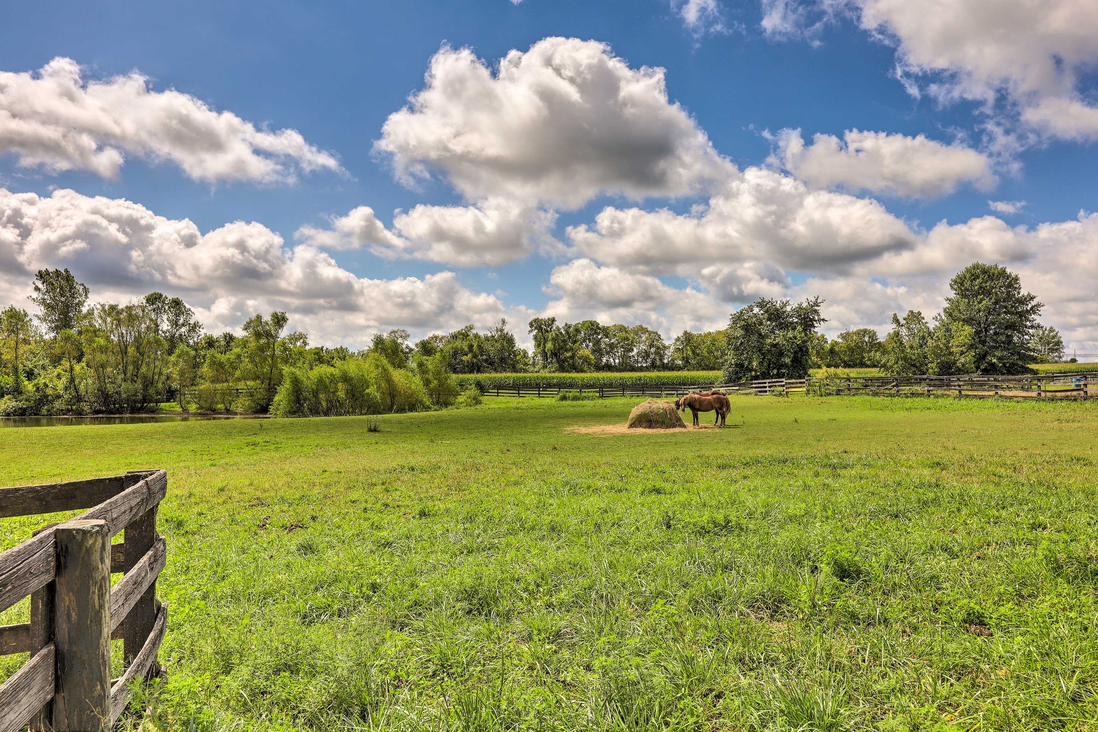30-Acre Horse Farm
