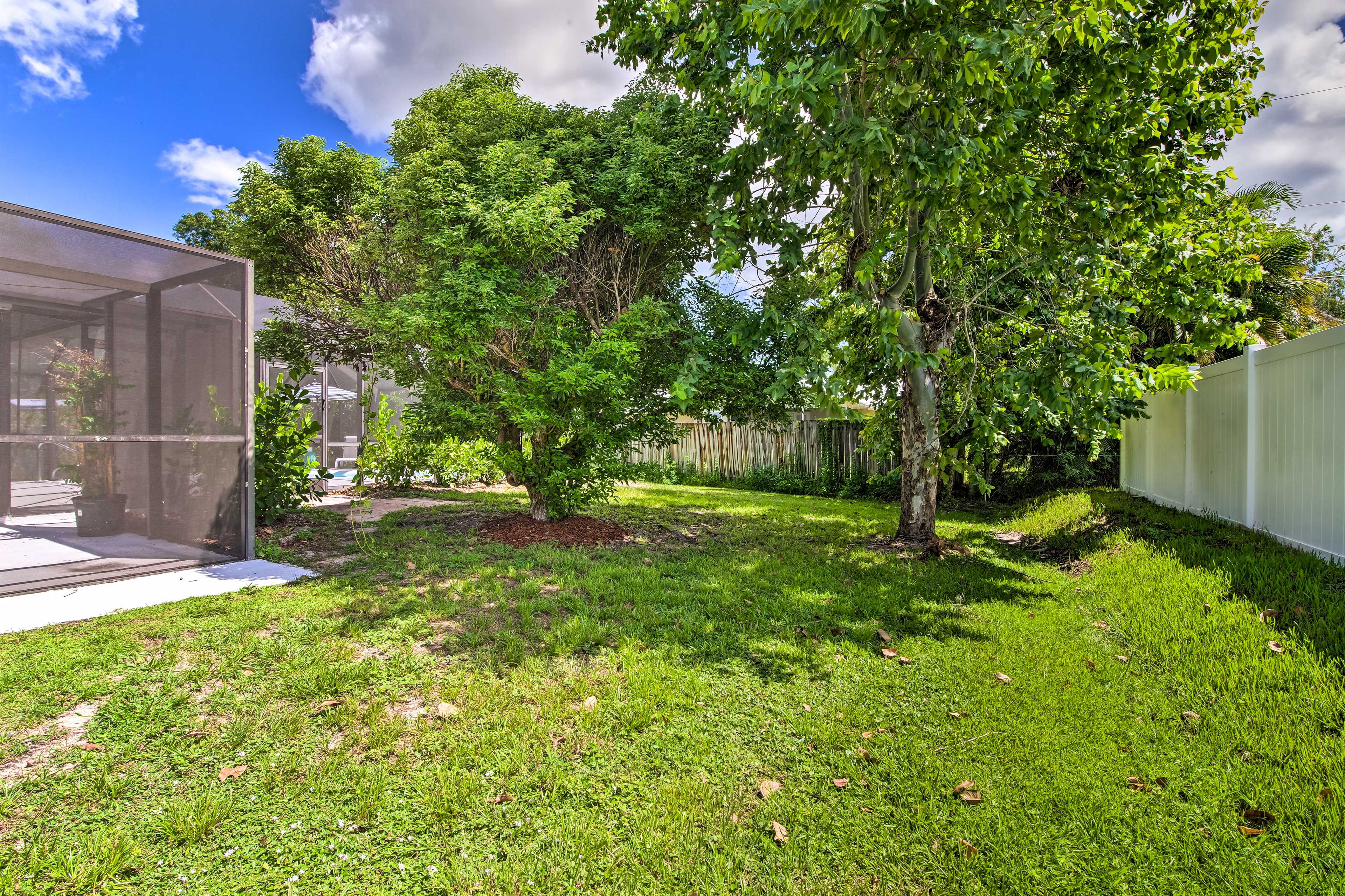 Back Yard