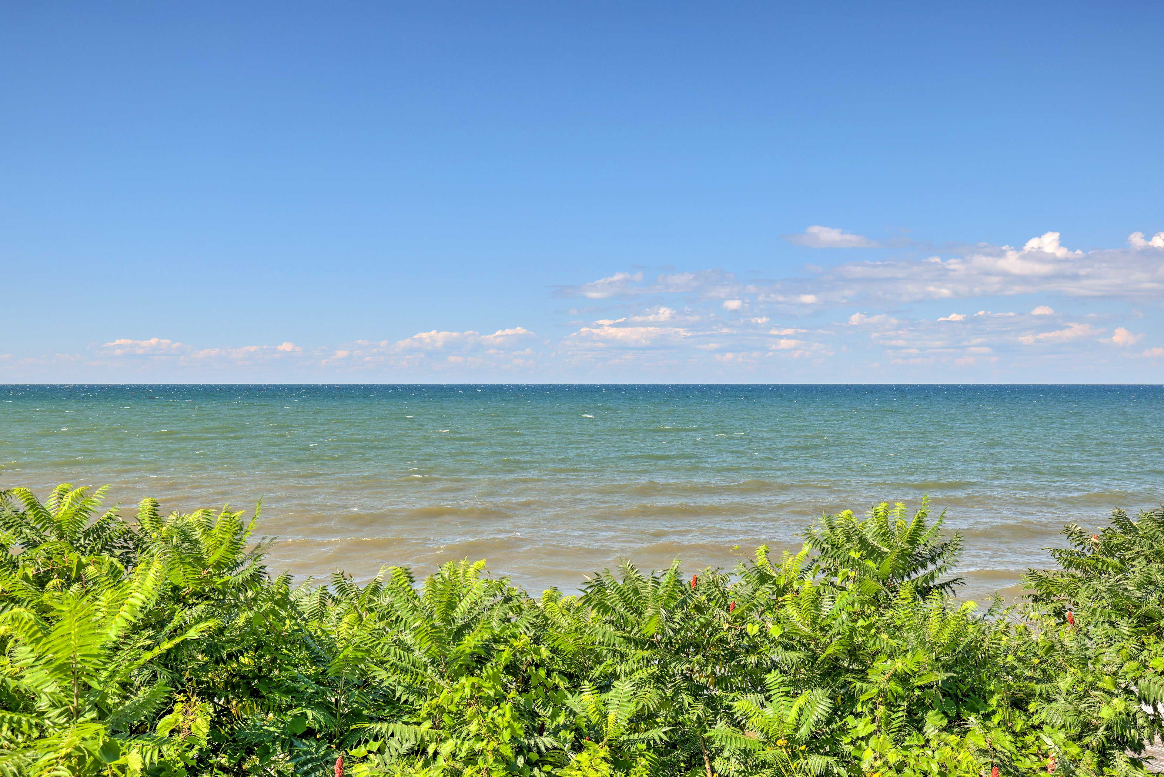 Lake Ontario | Walkable Distance