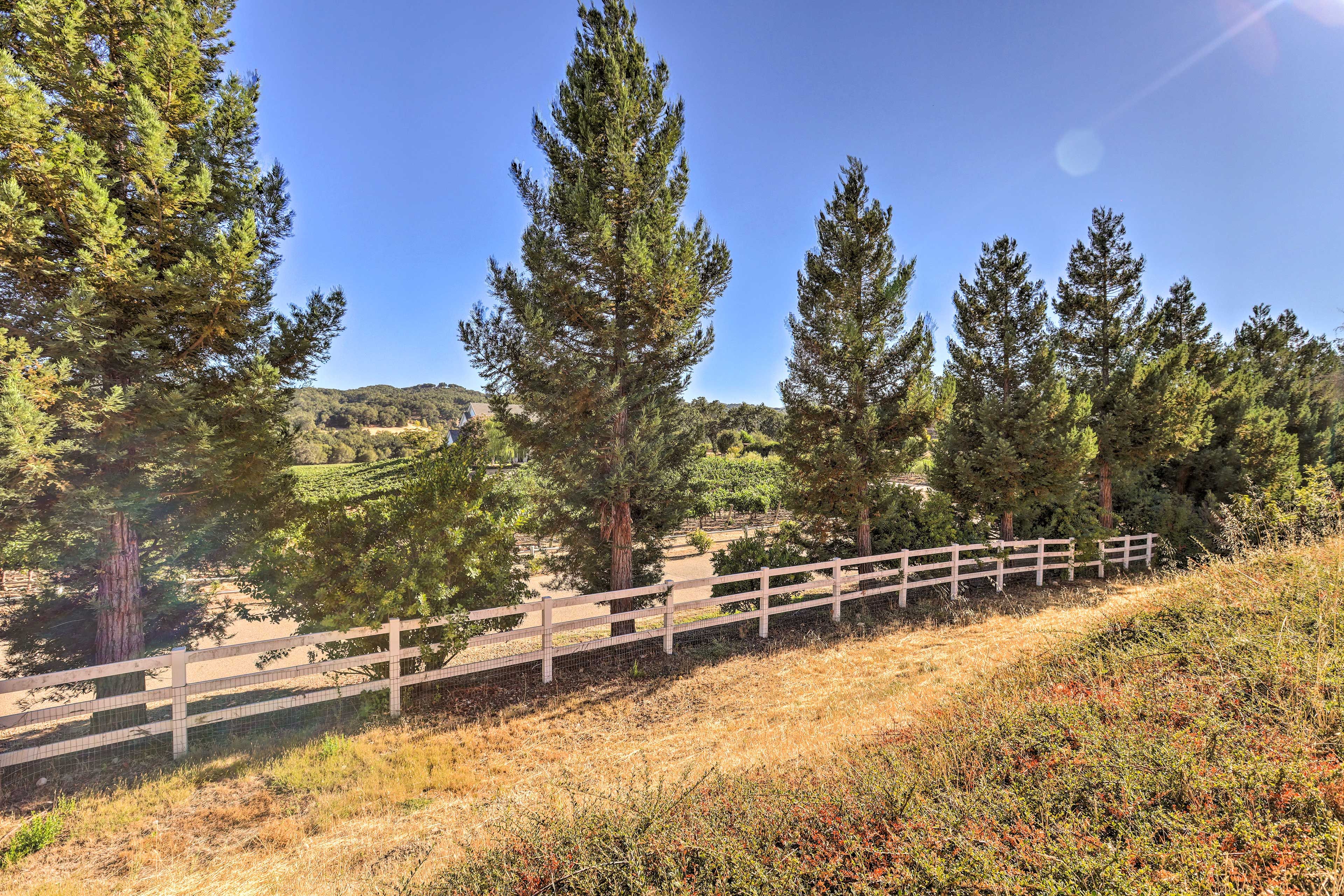 Property Exterior
