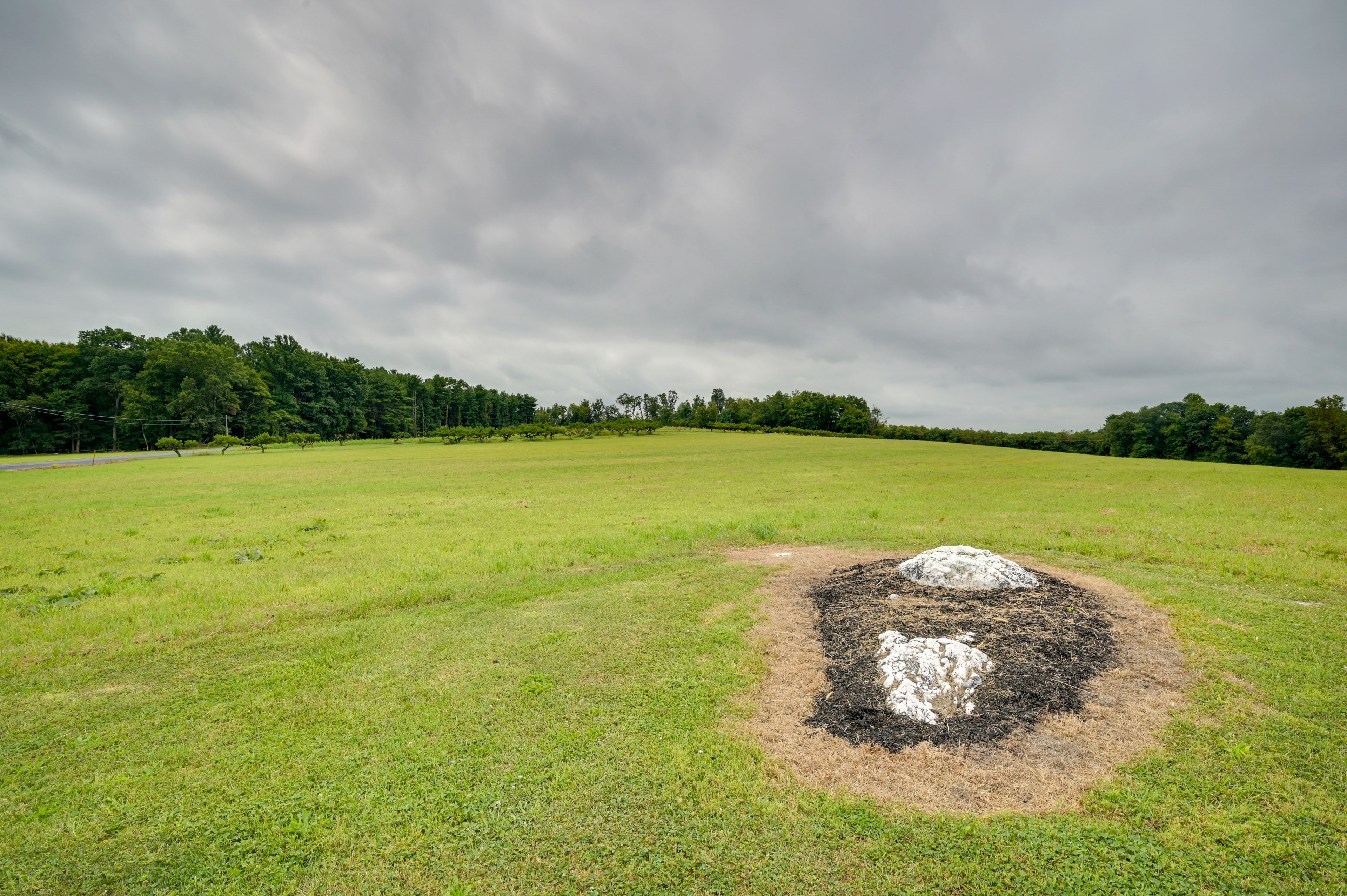 Image 28