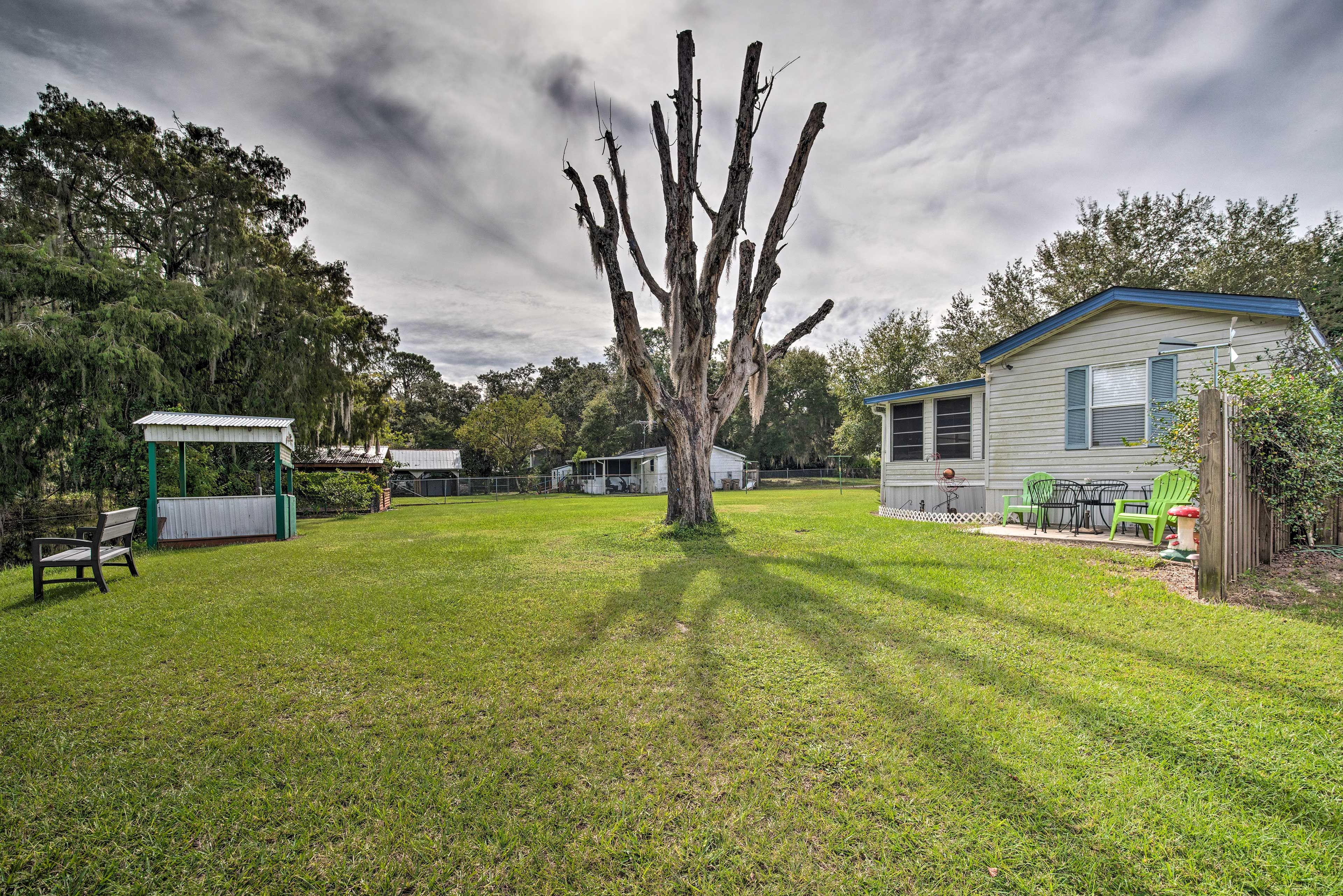 Backyard
