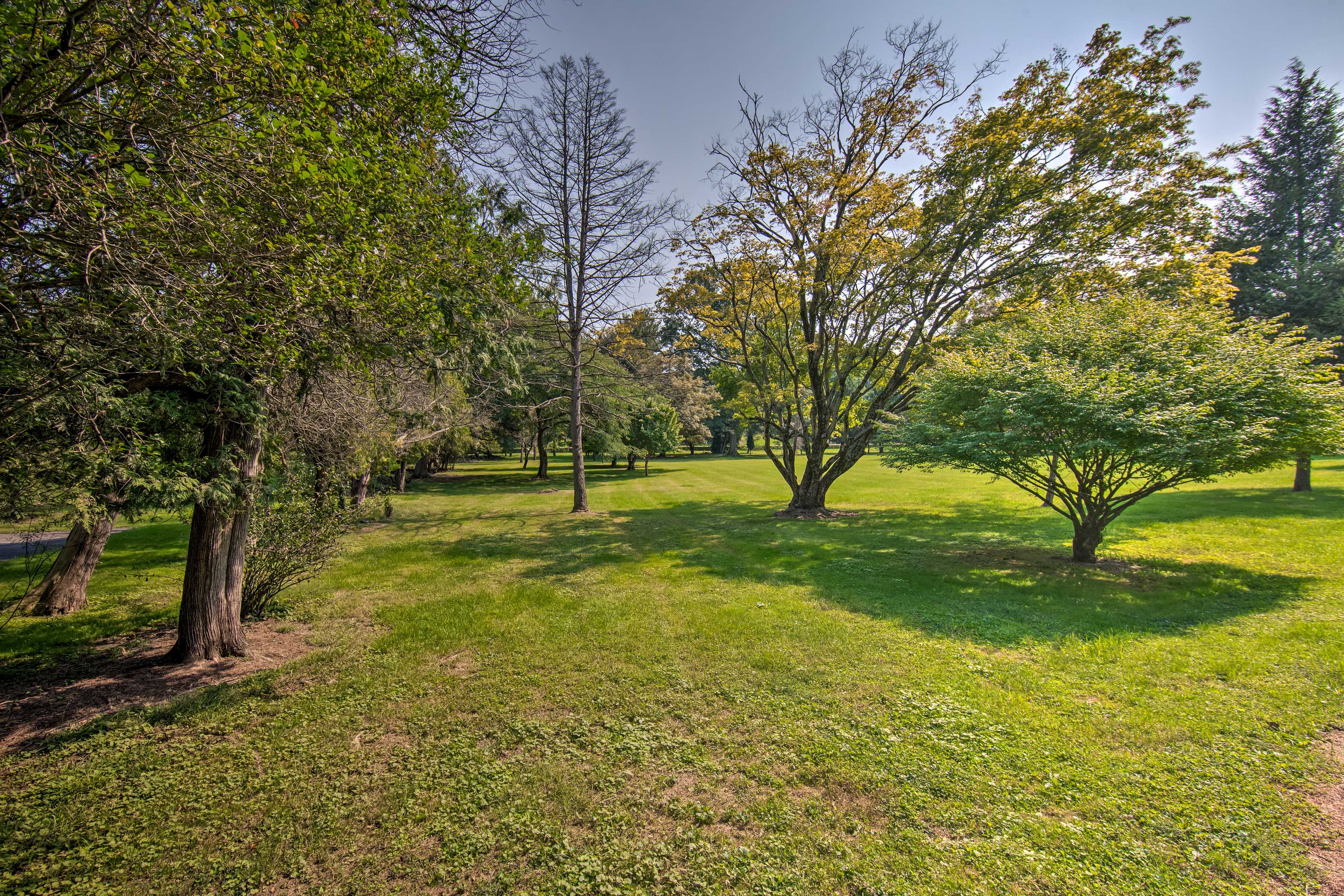 Private Yard