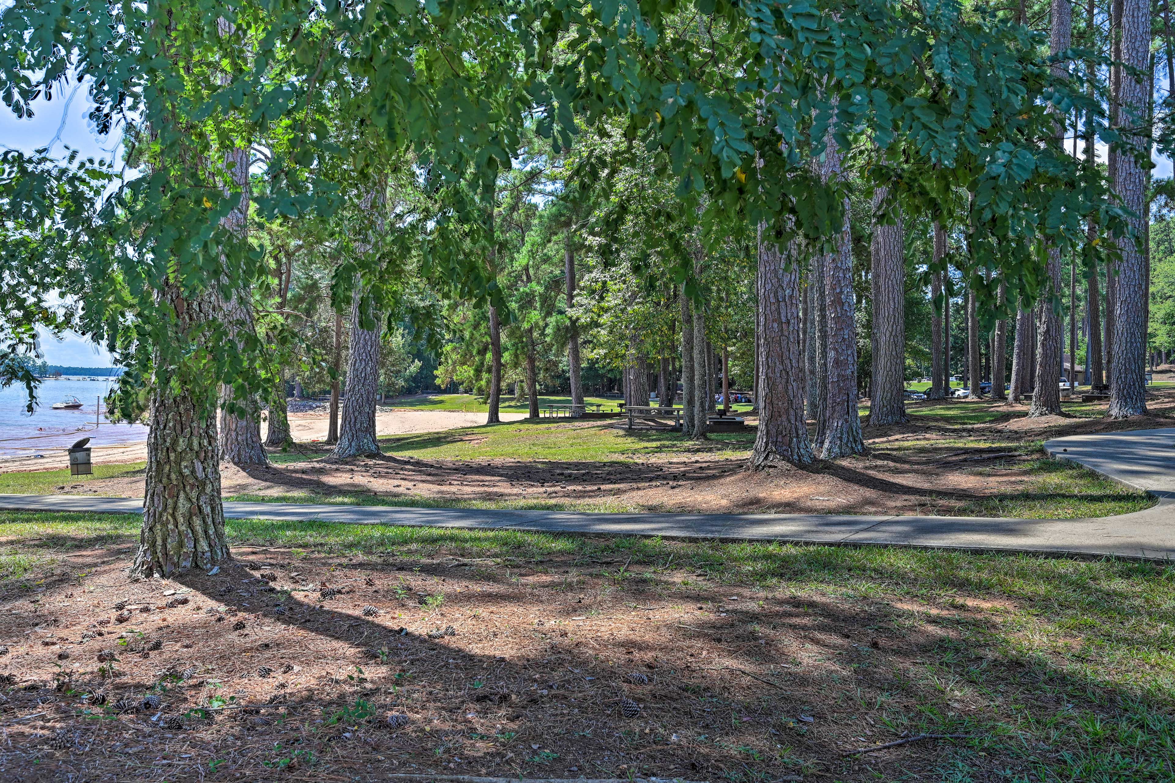 Public Beach & Boat Ramp | Walking Distance From Cabin