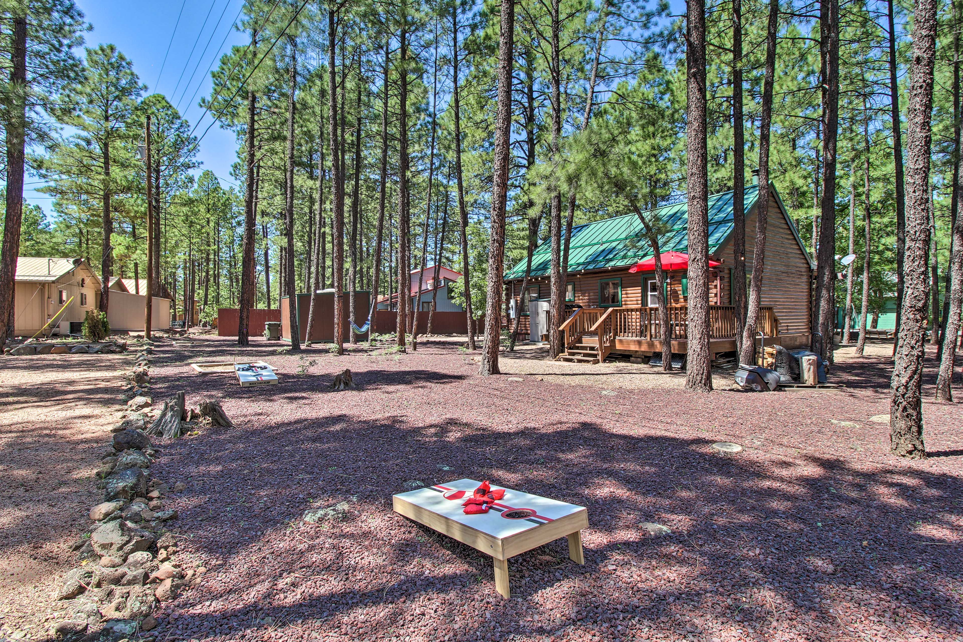Cornhole | Yard Games | Outdoor Oasis