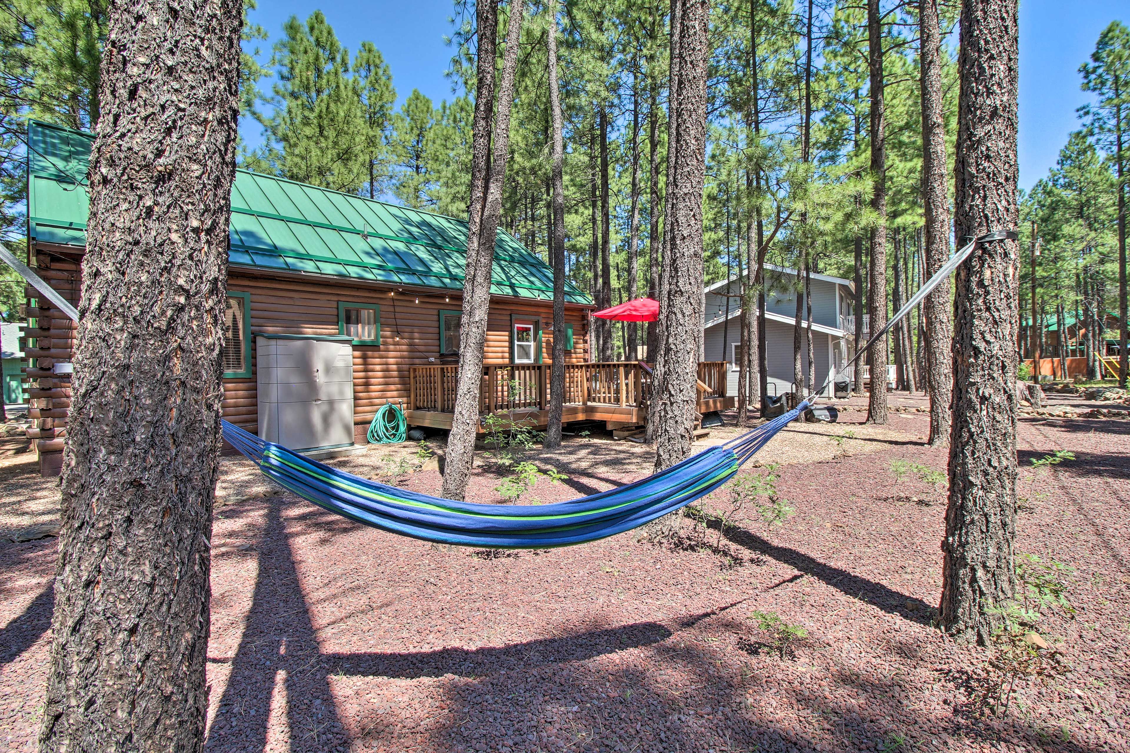 Outdoor Yard Space | Hammock | Deck