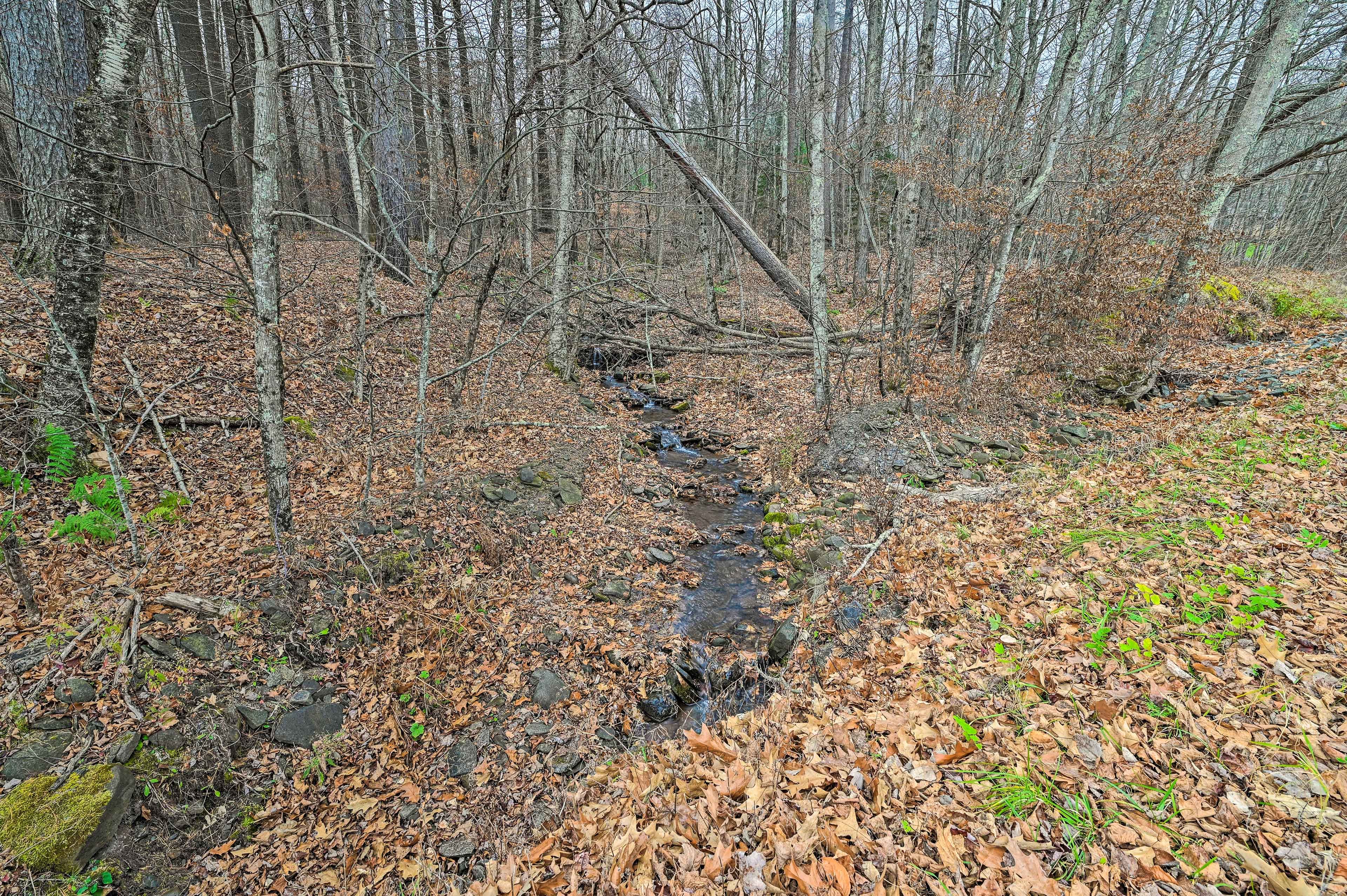 Image 30