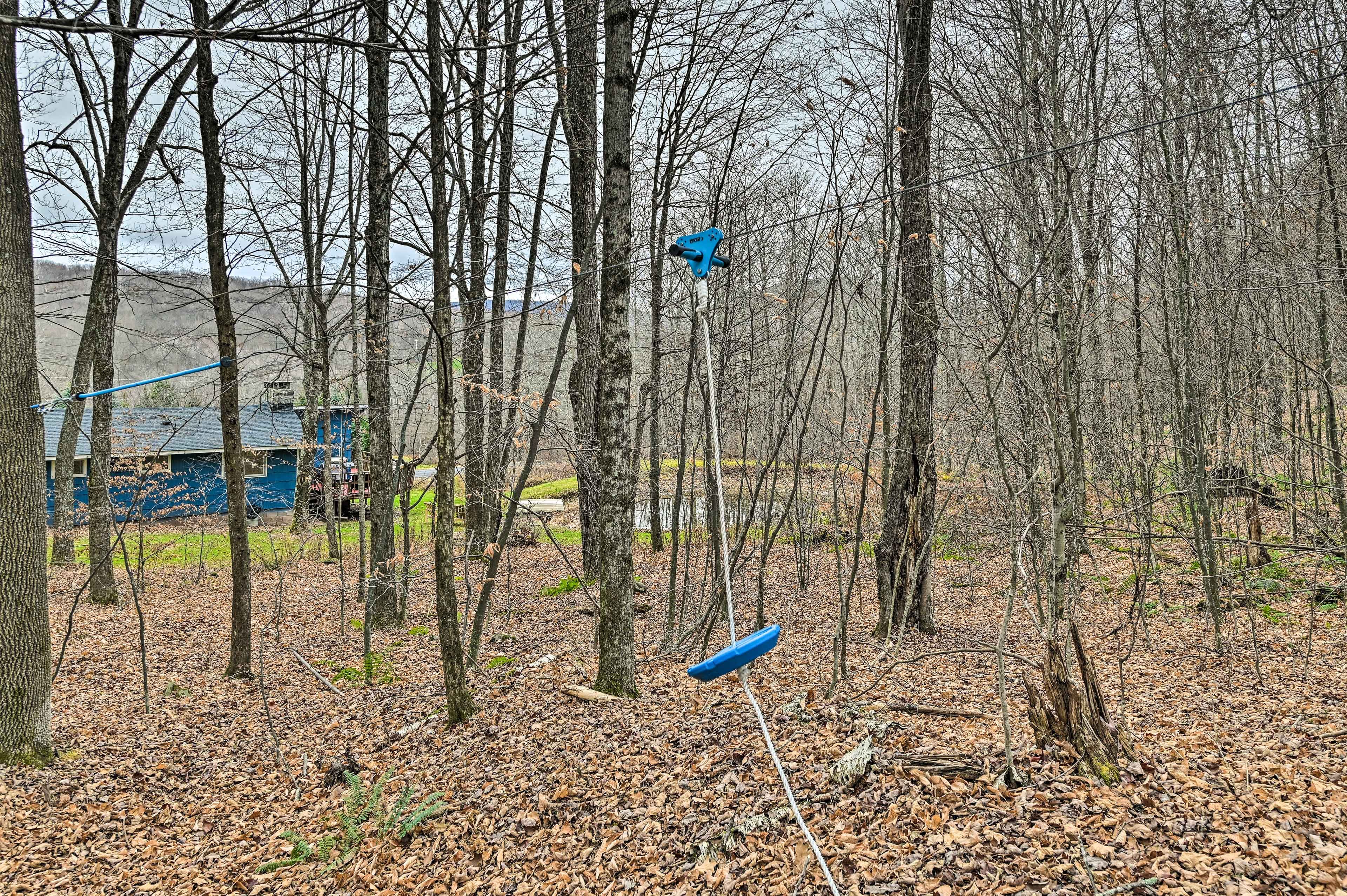Zipline