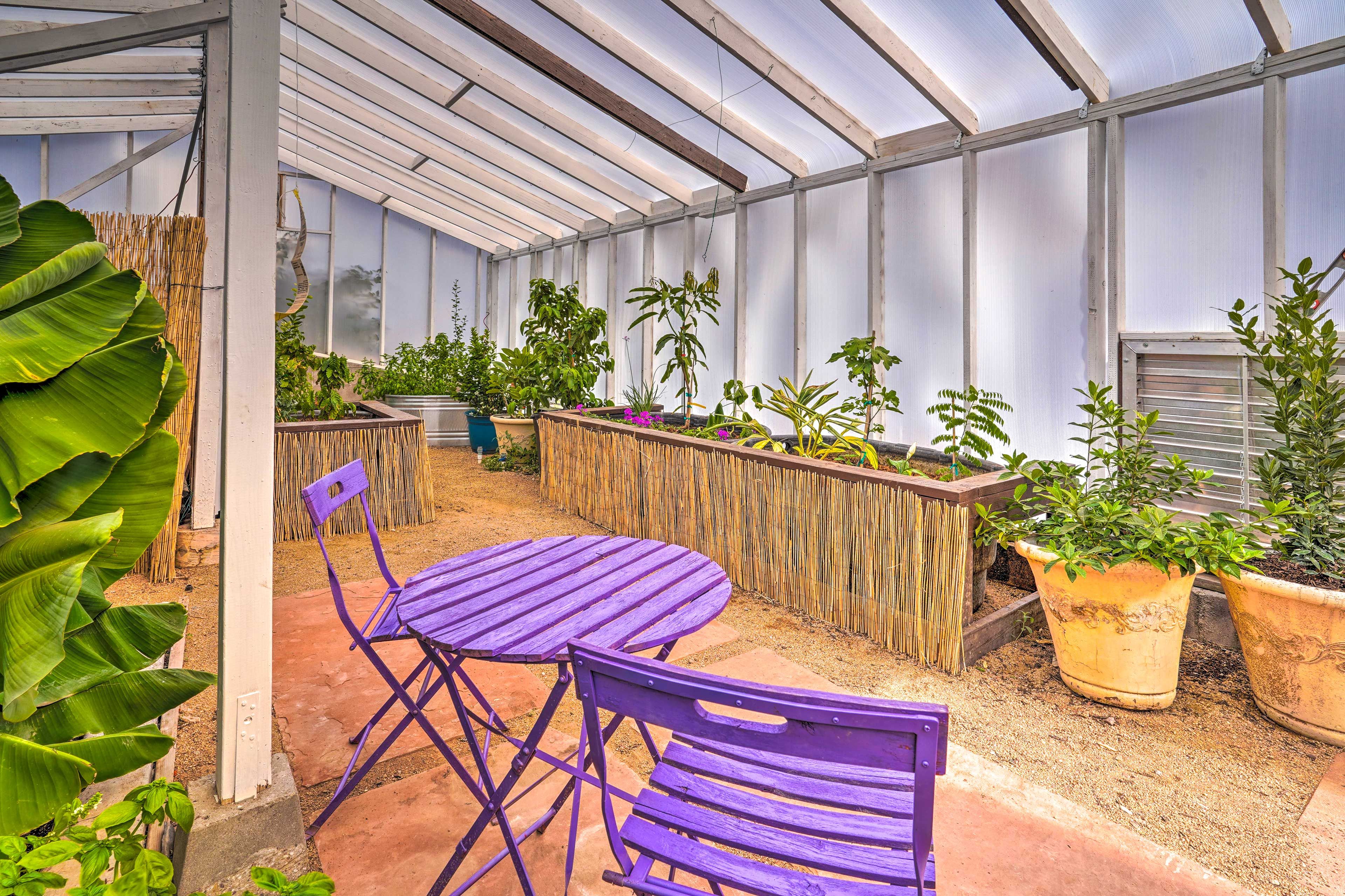 Greenhouse | Outdoor Dining Area