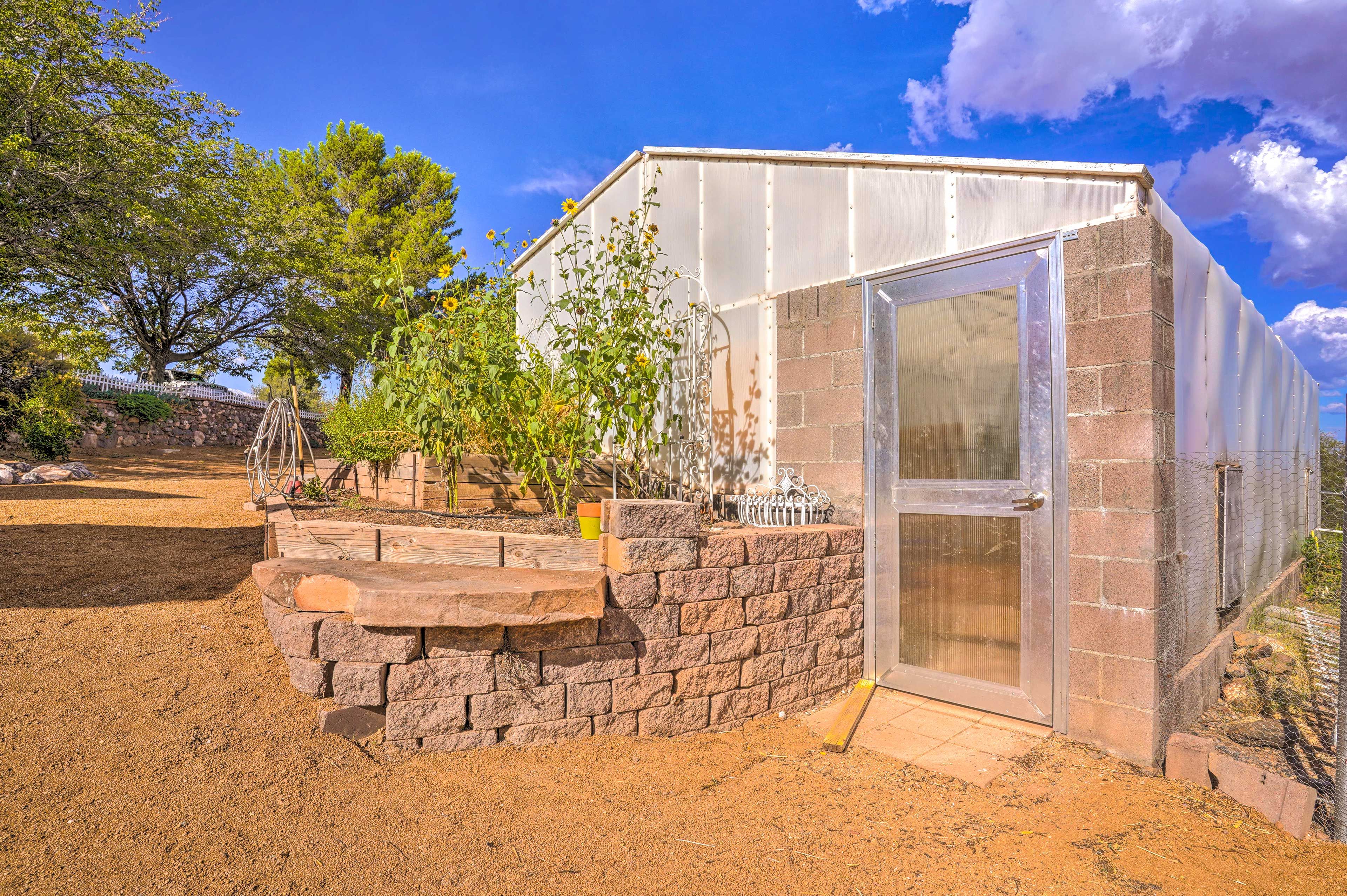 Greenhouse