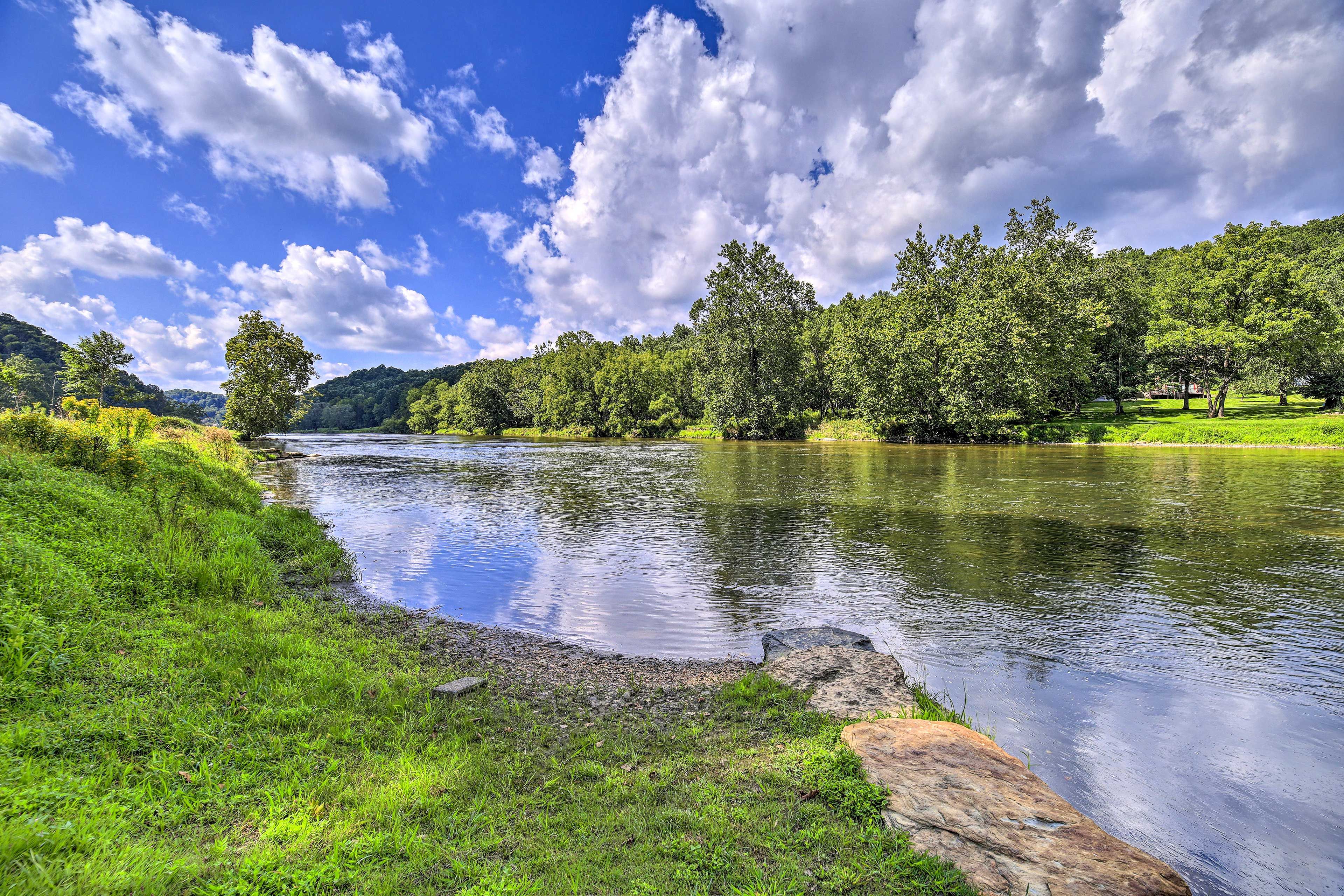 Property Surroundings | New River | Lush Forest