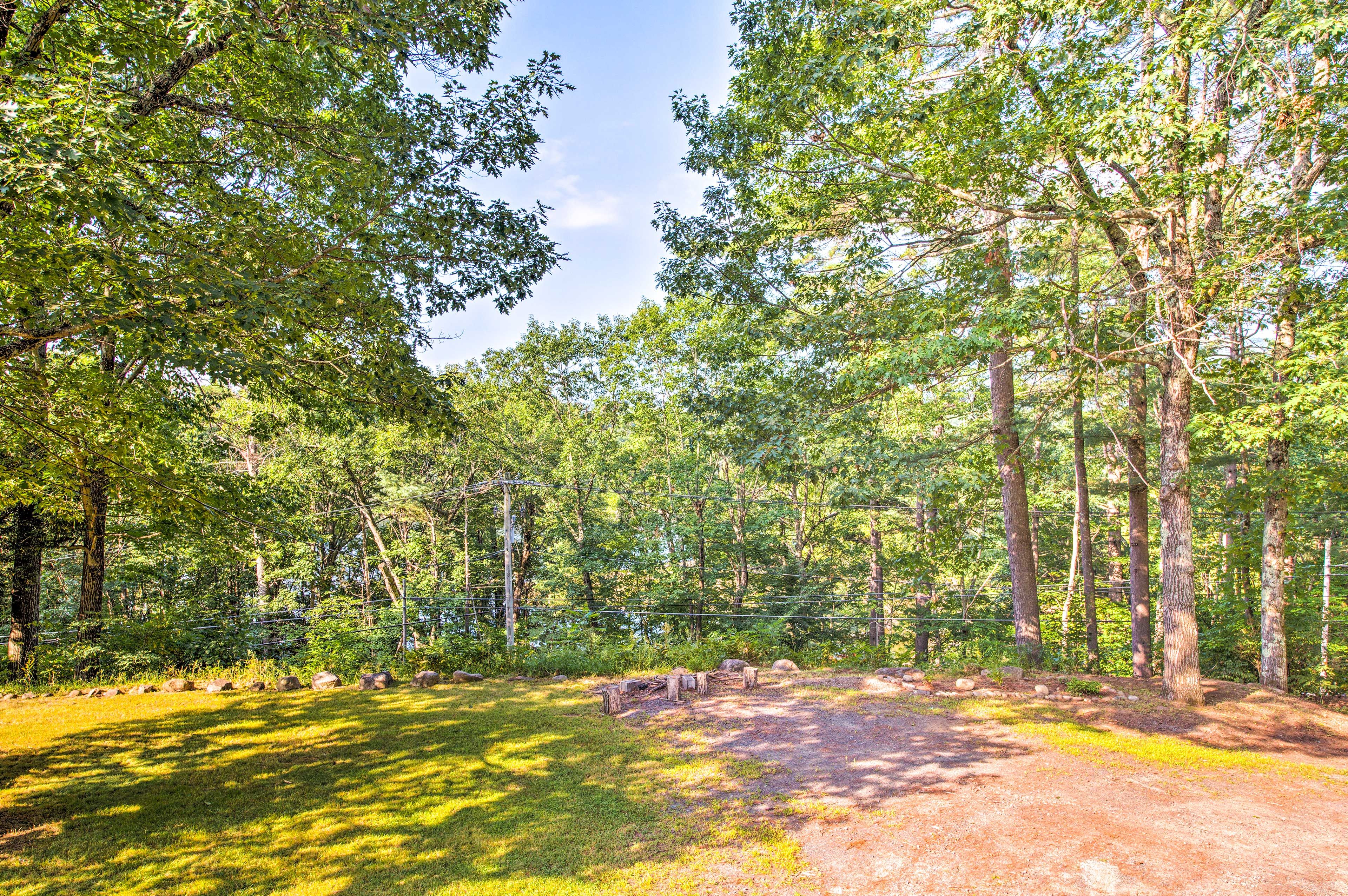 Forest Views