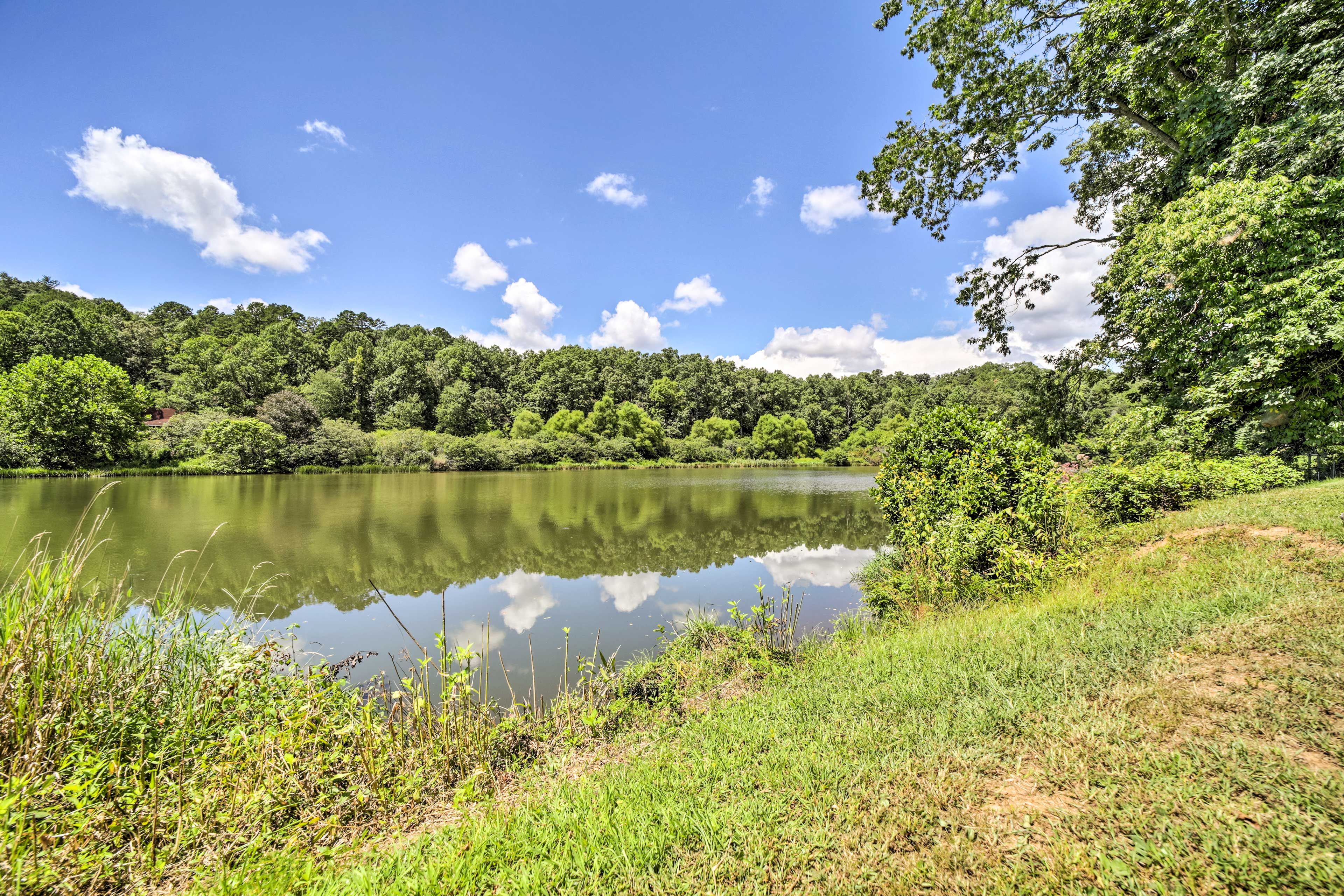 Lake Emory (On-Site