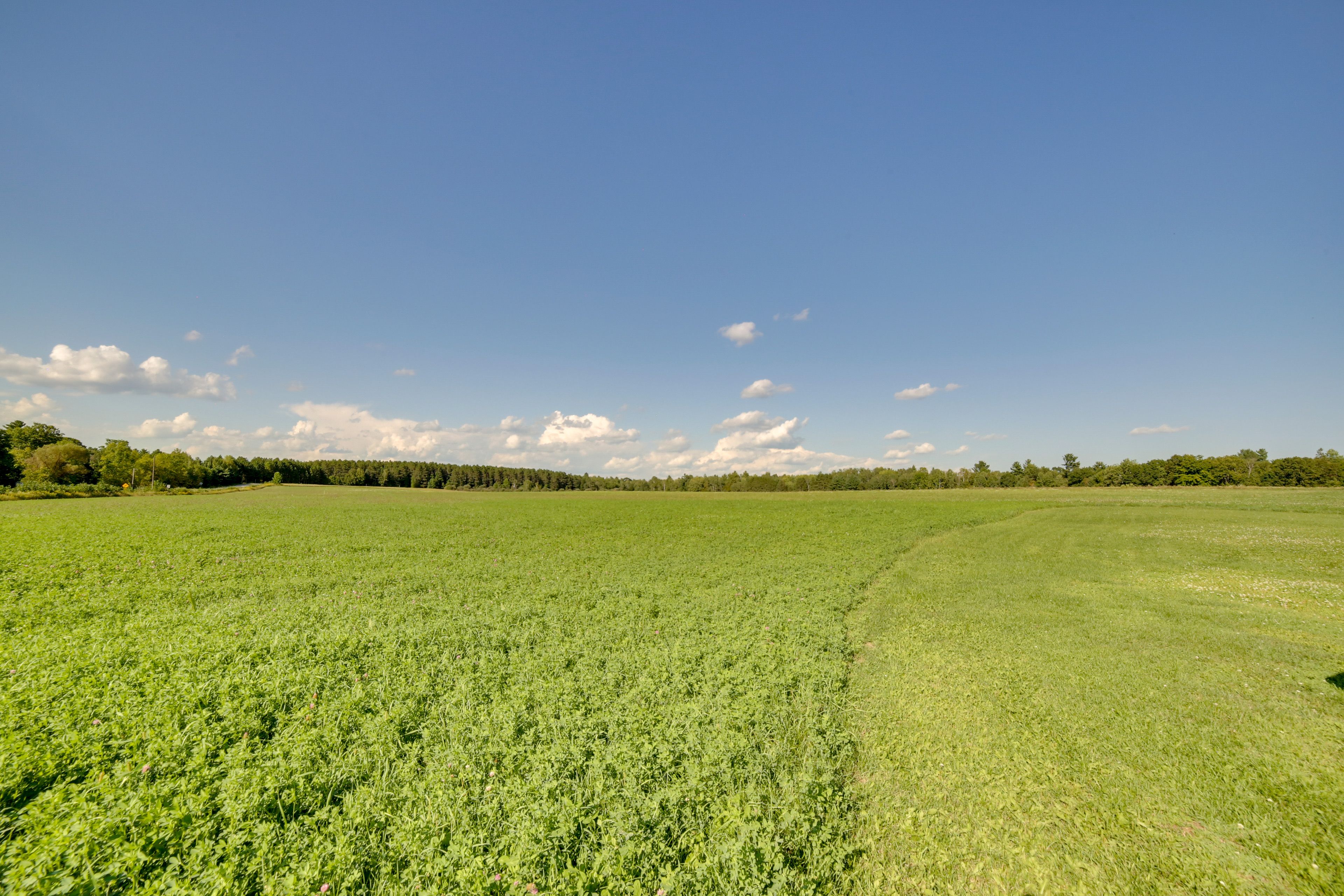 Image 24