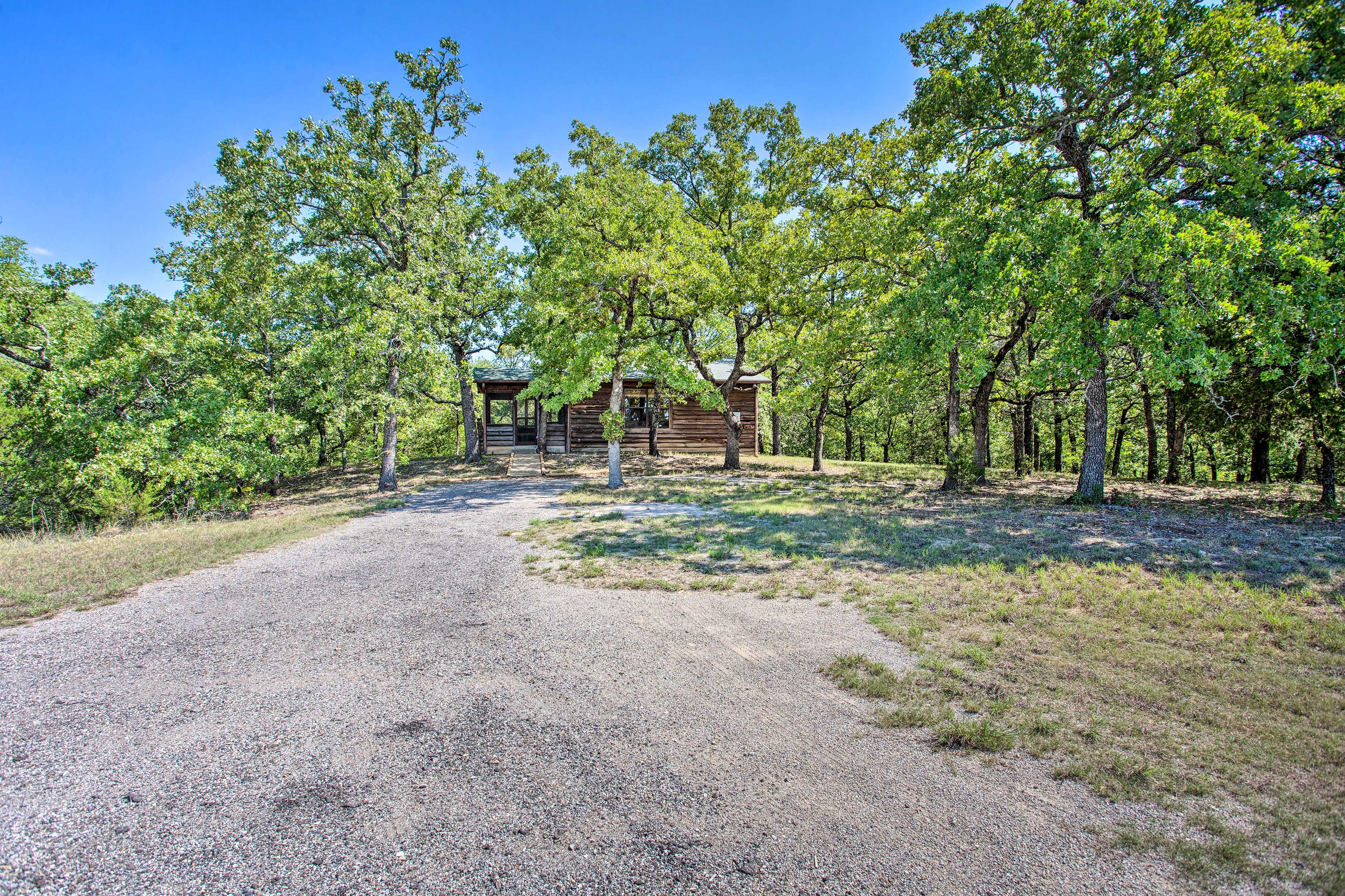 Davis Vacation Rental | 2BR | 1BA | 2 Steps to Enter | 670 Sq Ft