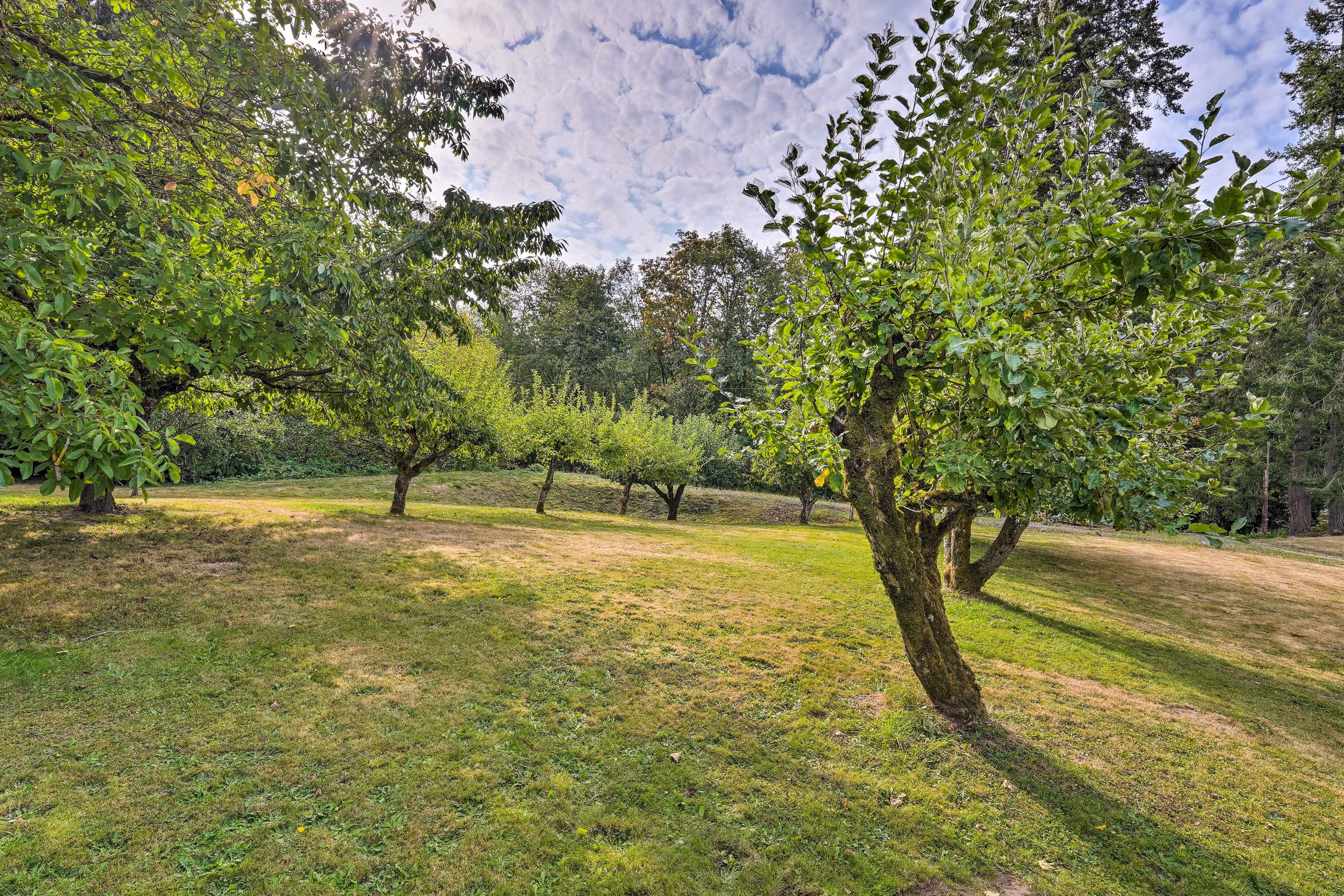Surrounding Area