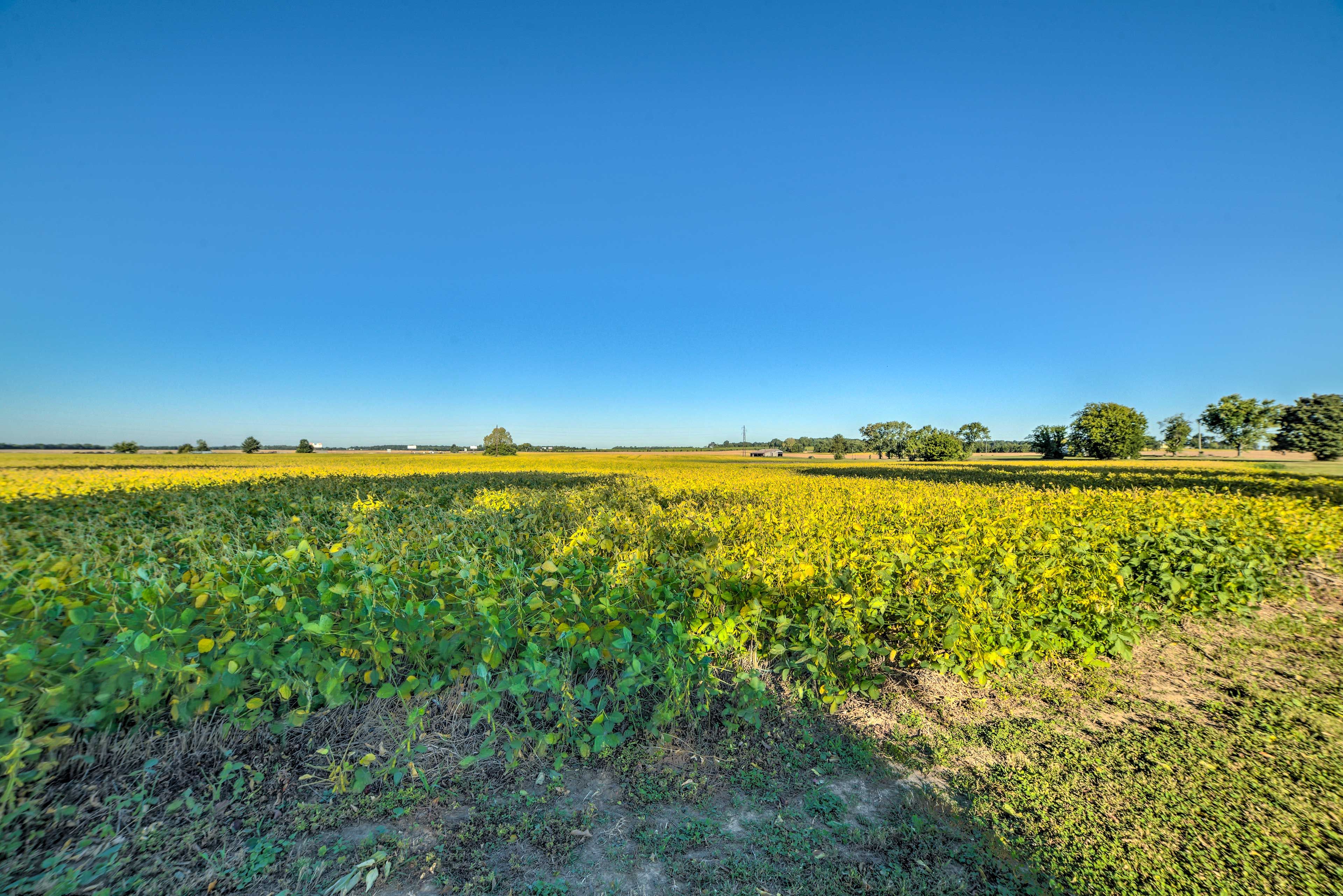 Image 28