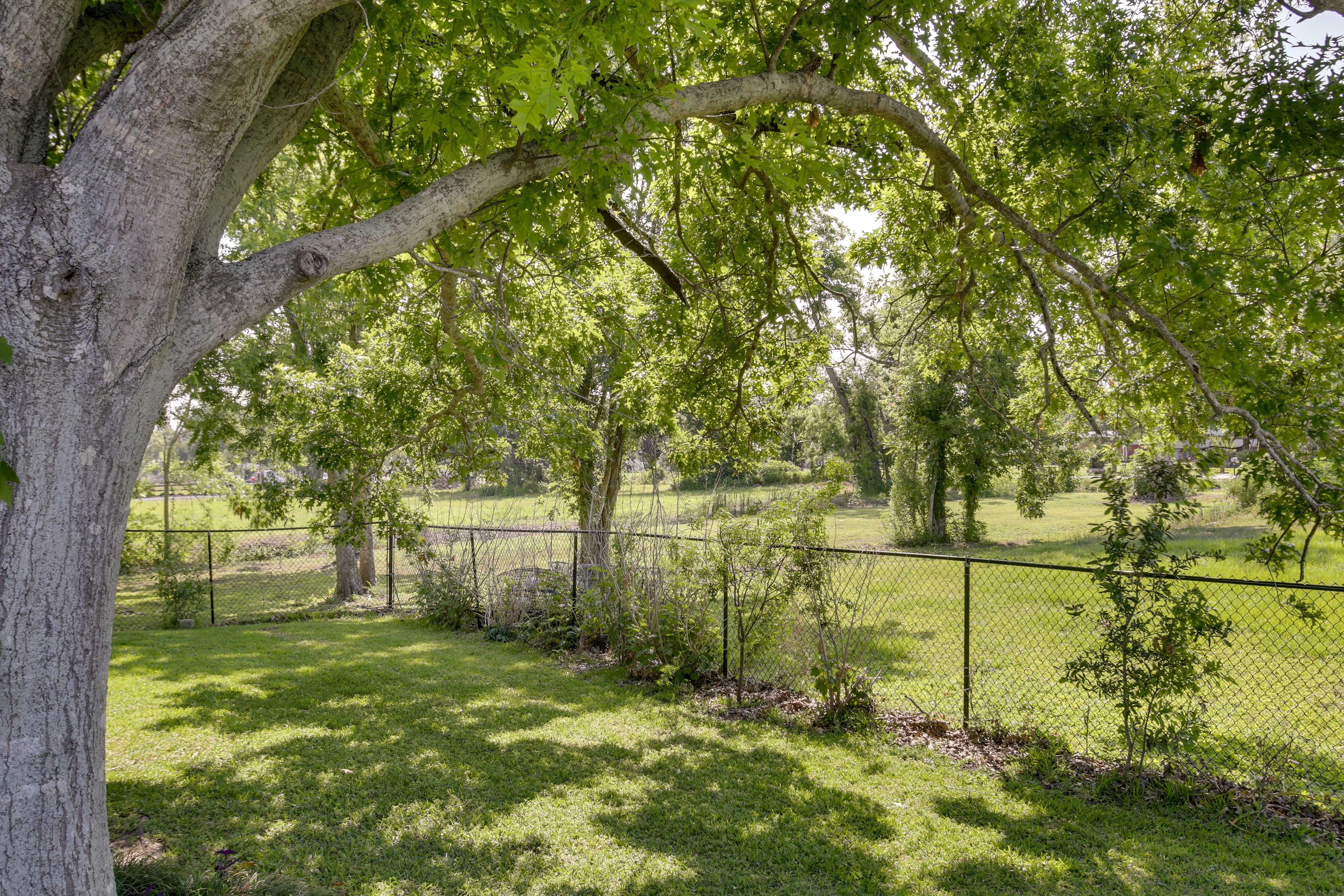 Yard Space