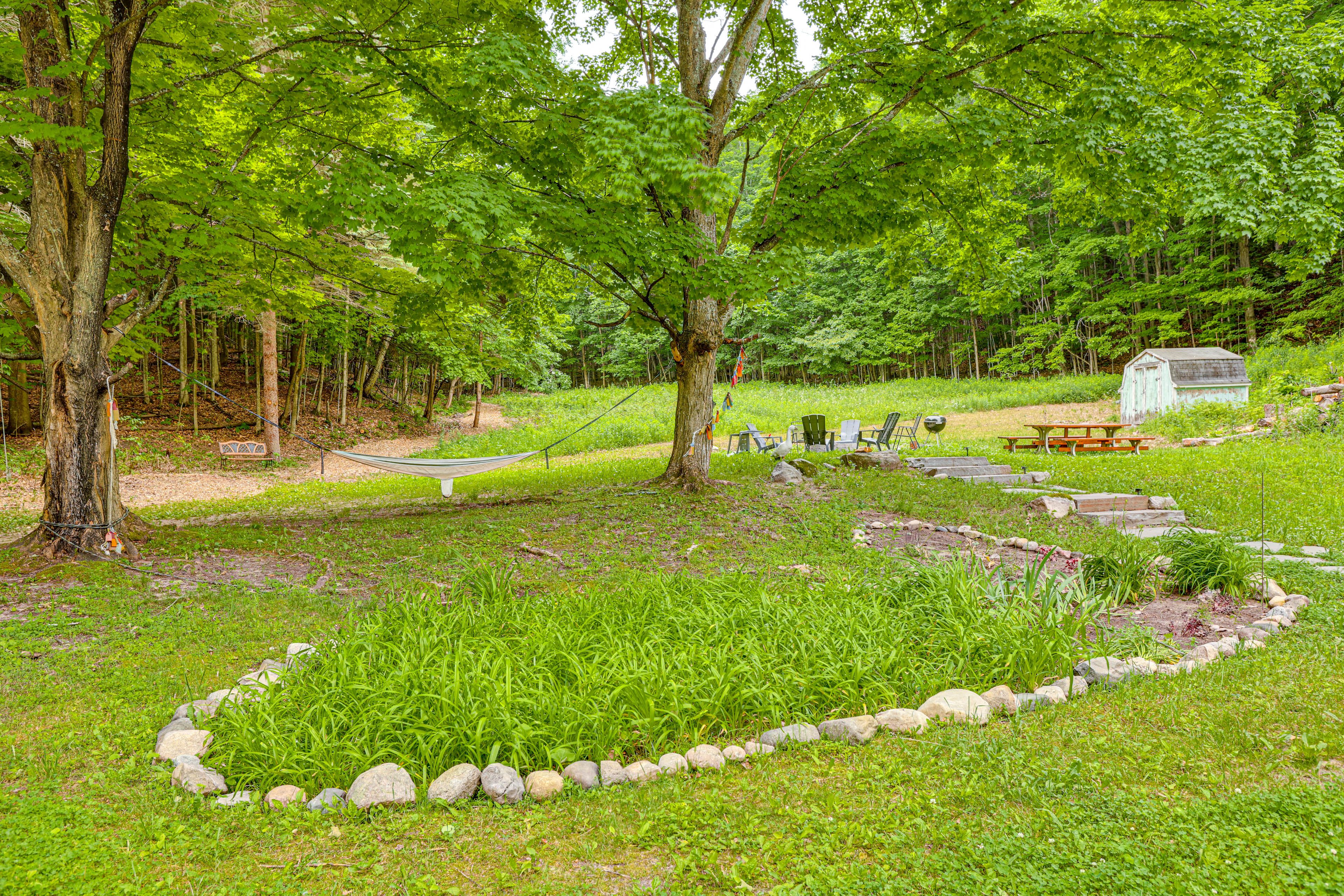 Yard | Charcoal Grill | Wood-Burning Fire Pit