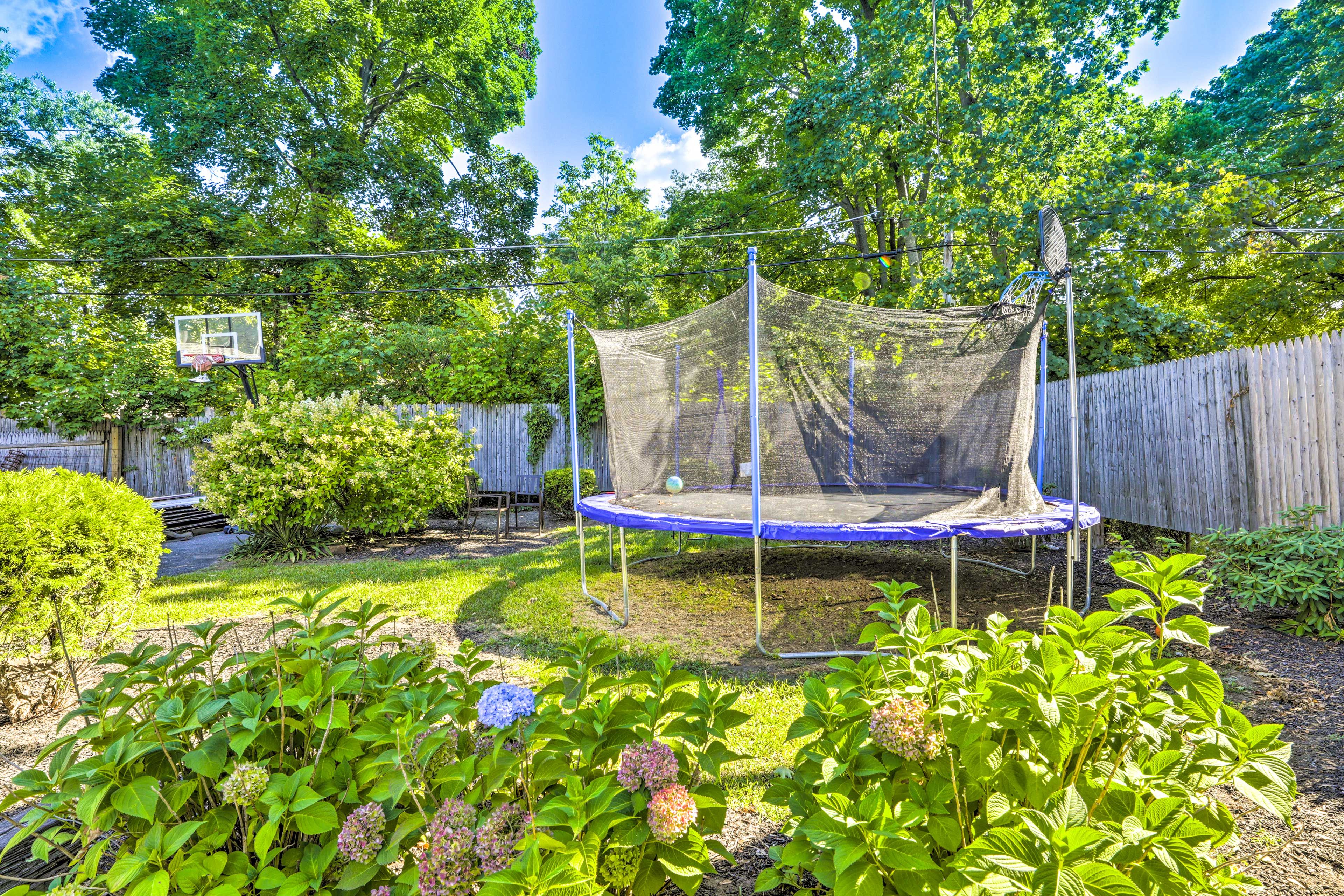 Shared Yard